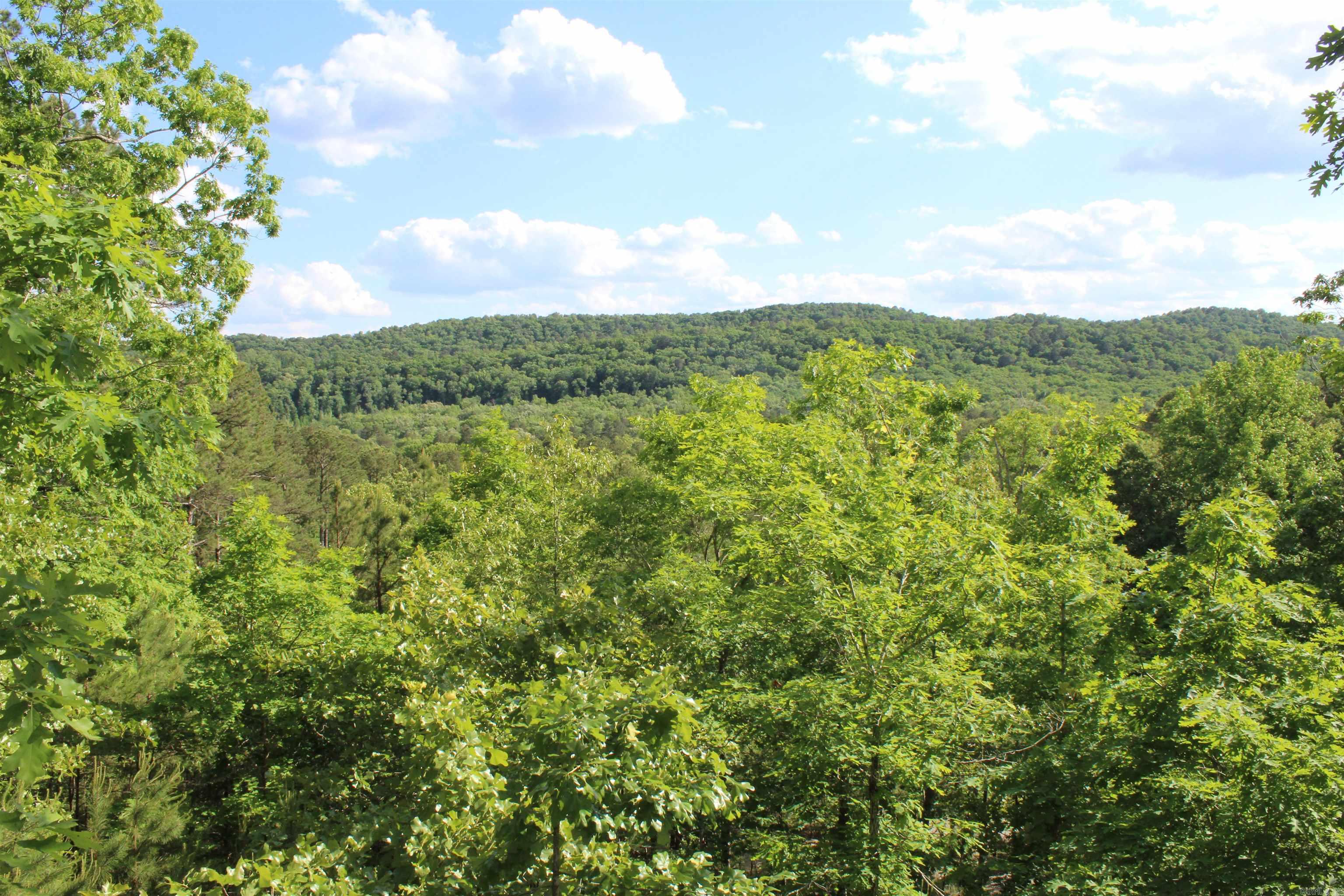 28410 Kanis Rd Property Photo 6