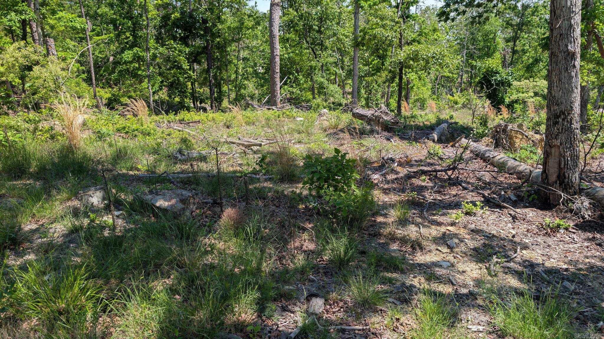 000 RODRIGO WAY Property Photo 1