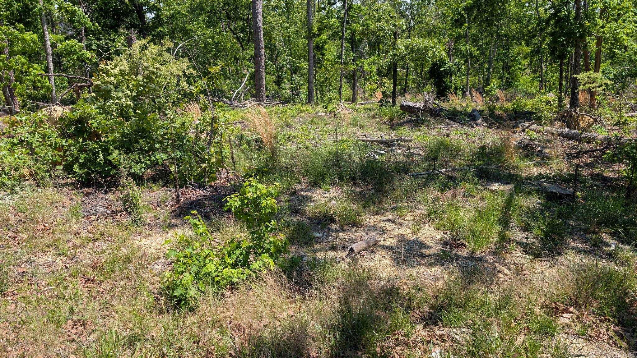 000 Rodrigo Way Property Photo 2