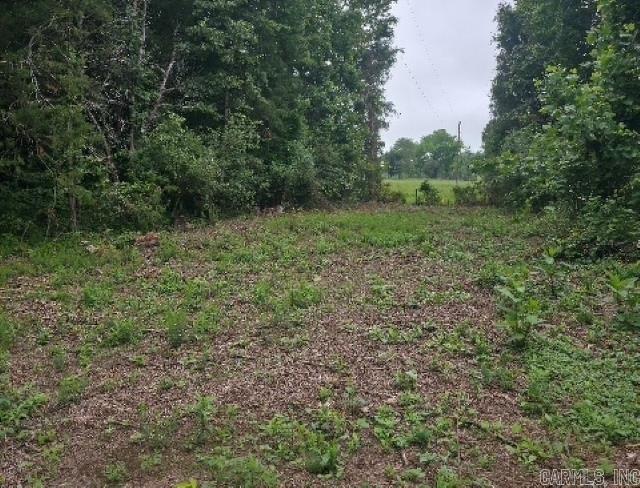 196 Lock 3 Road Property Photo 1
