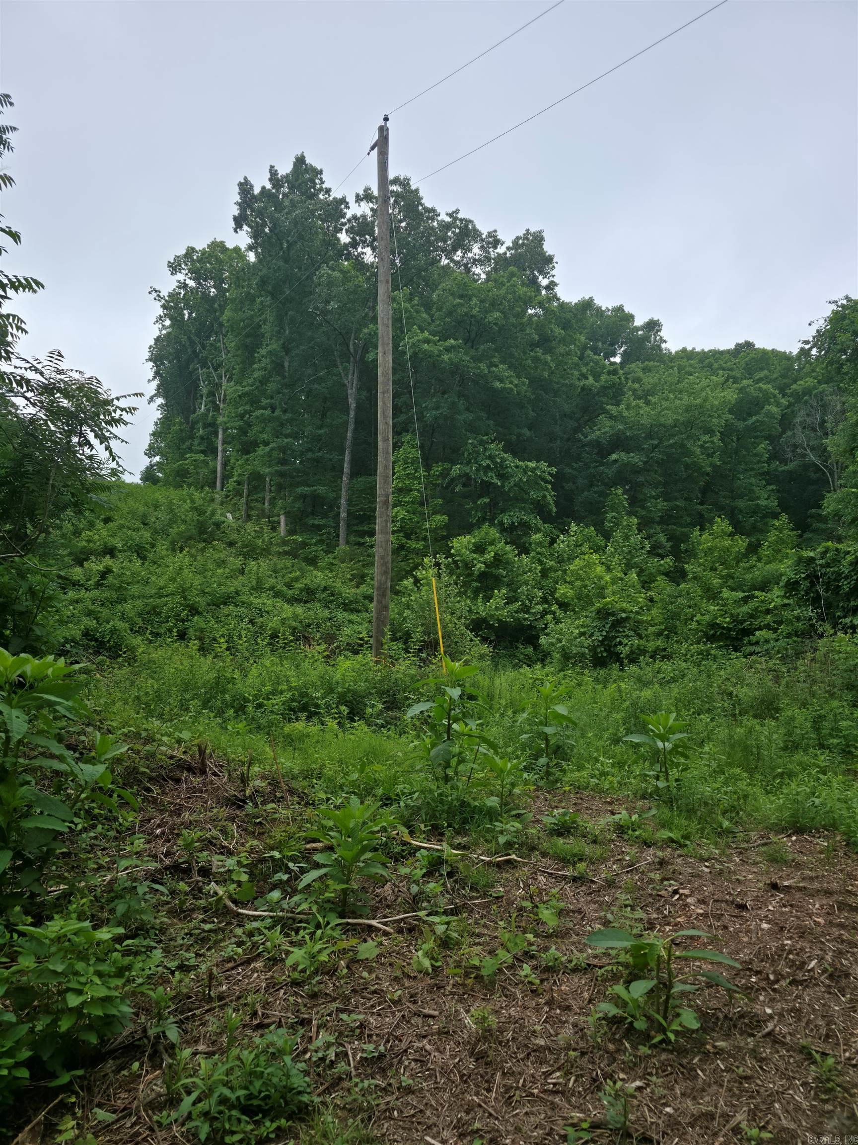 196 Lock 3 Road Property Photo 3