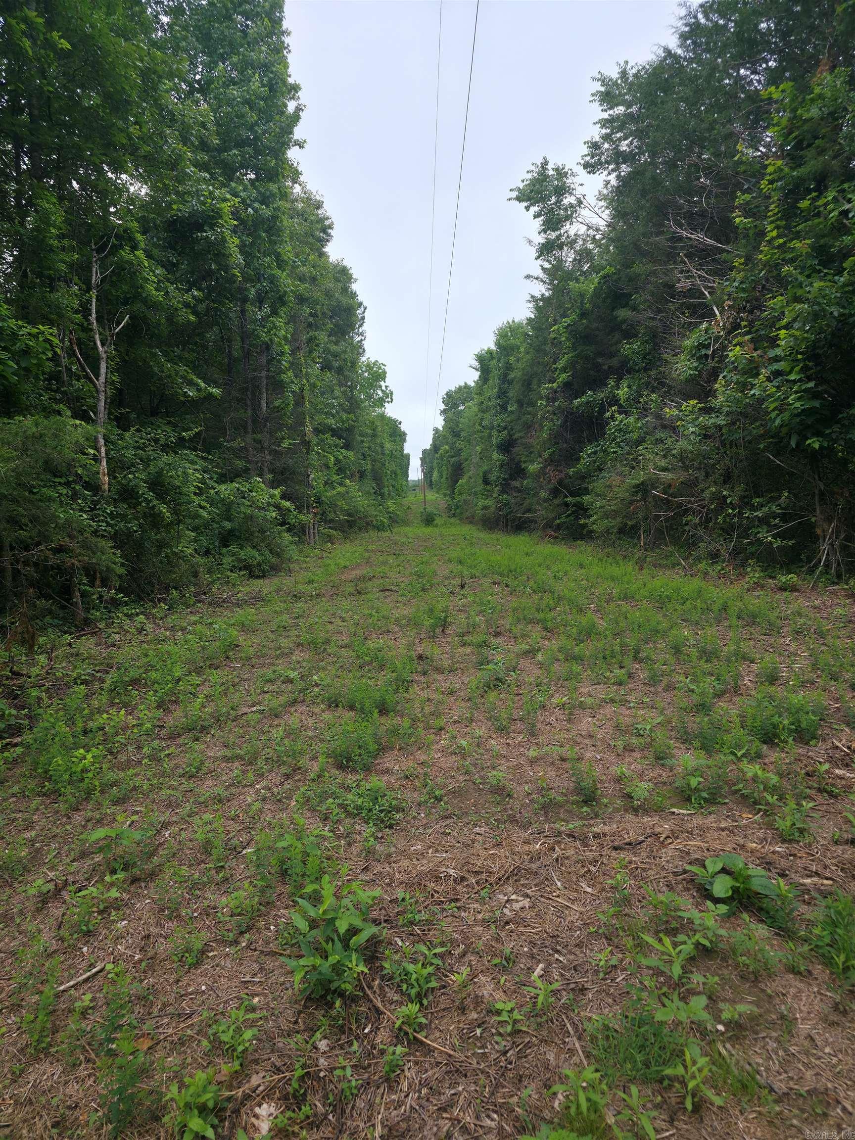 196 Lock 3 Road Property Photo 4