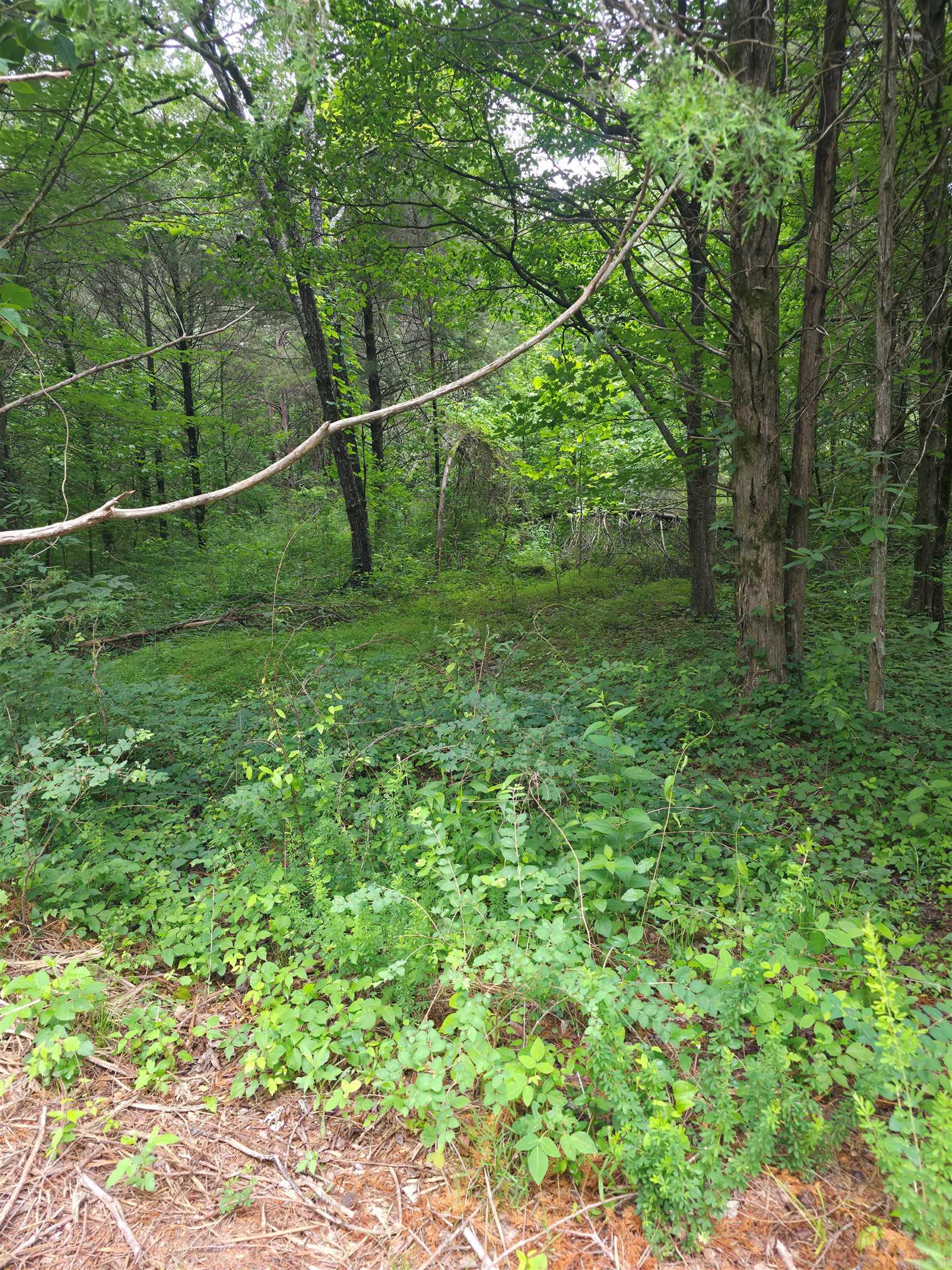 196 Lock 3 Road Property Photo 5