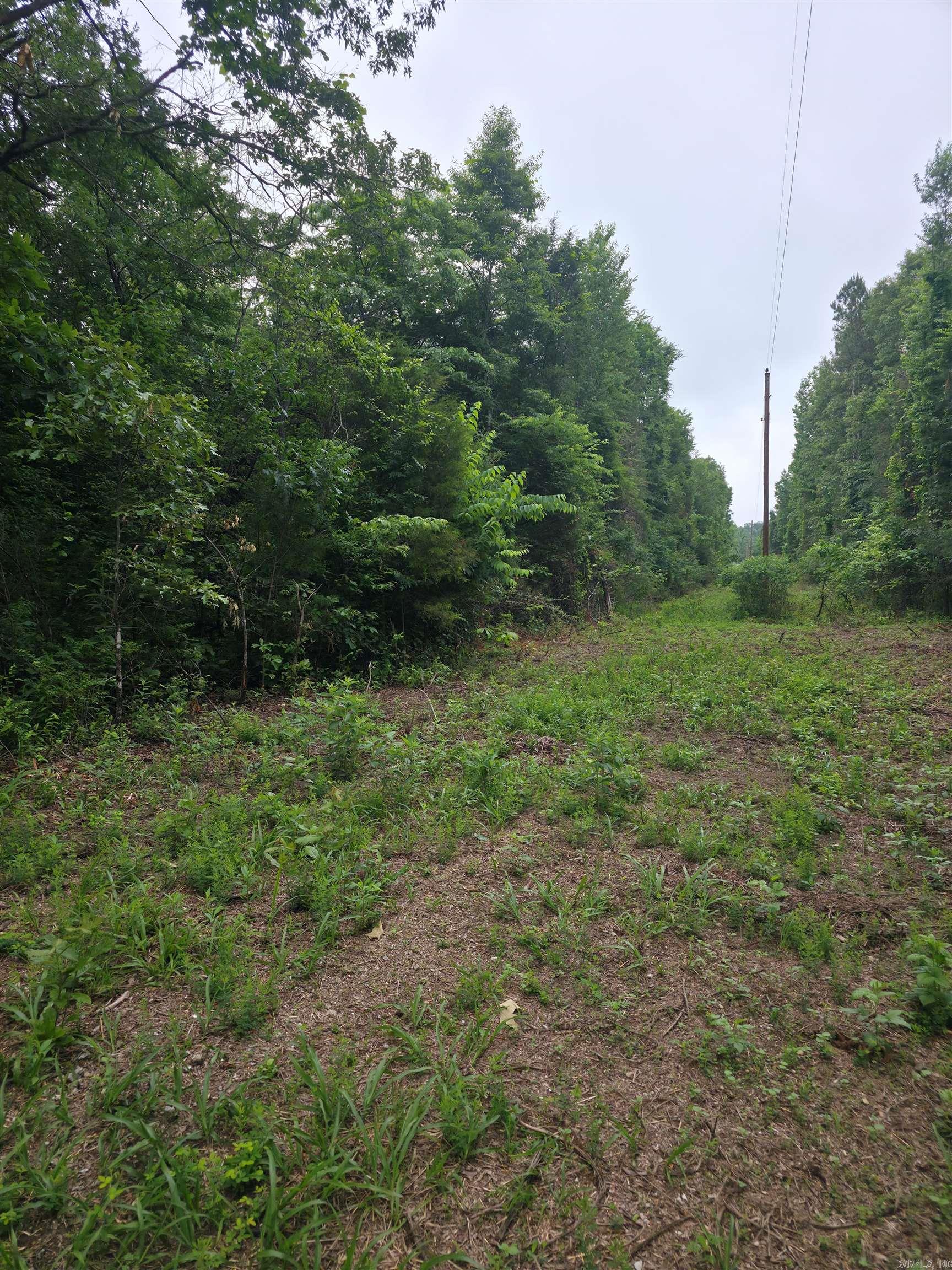 196 Lock 3 Road Property Photo 6