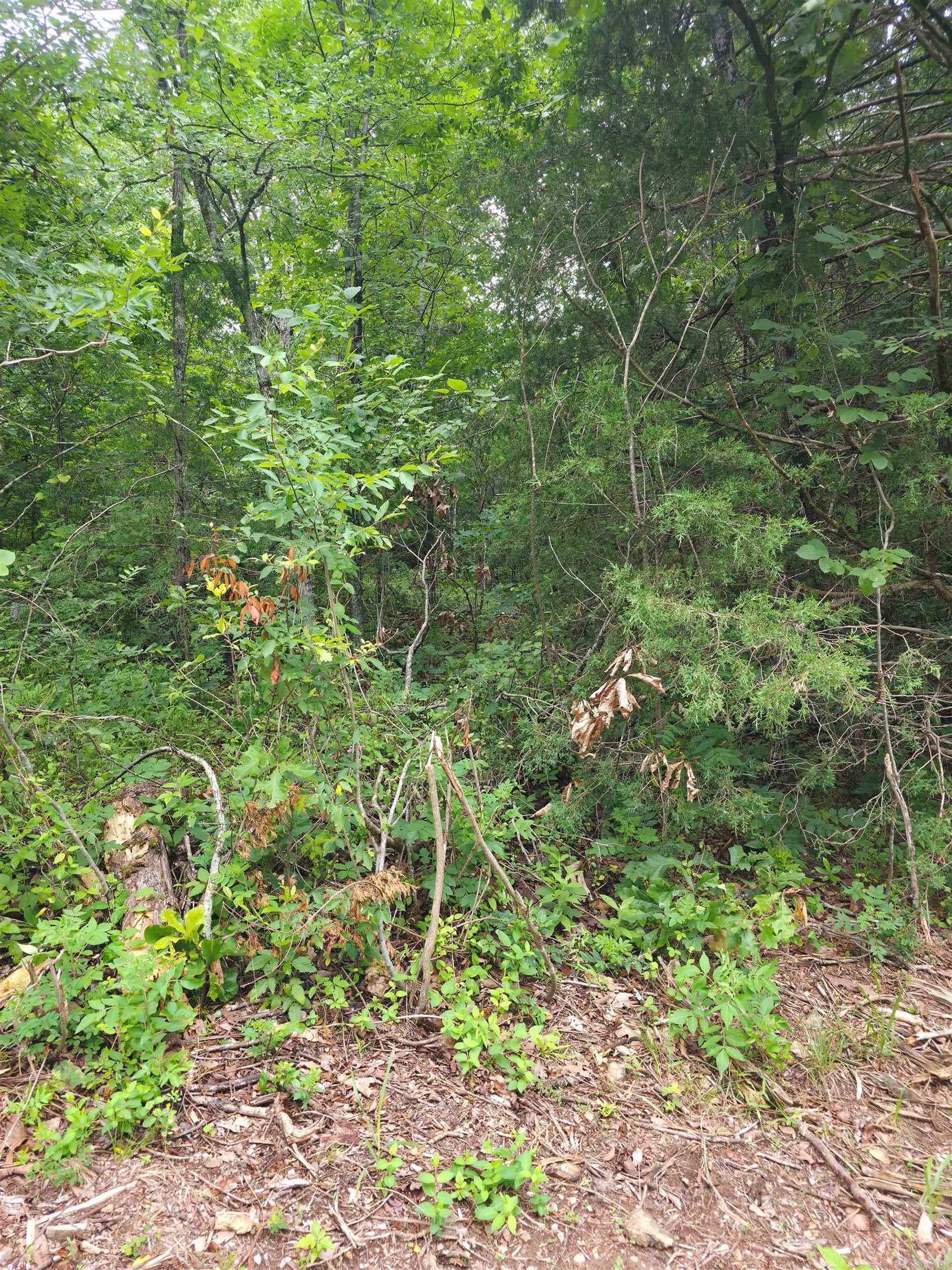 196 Lock 3 Road Property Photo 7