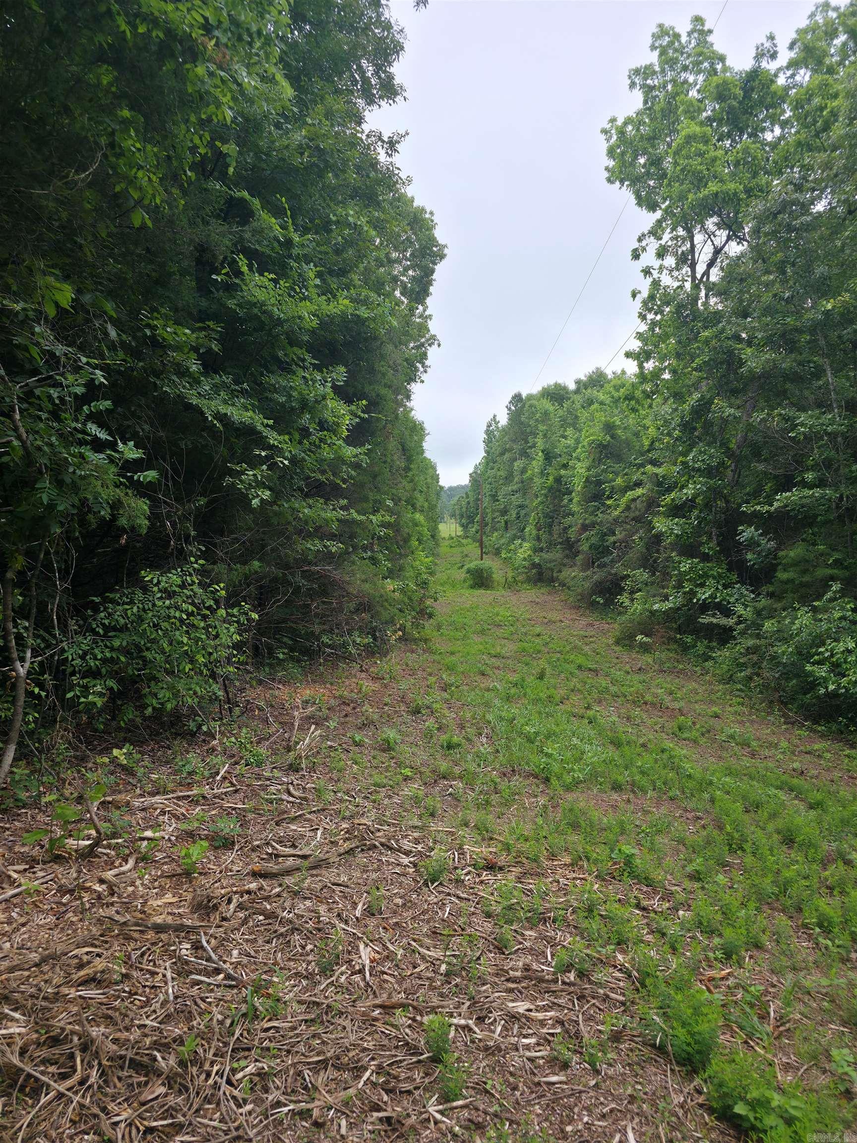 196 Lock 3 Road Property Photo 8
