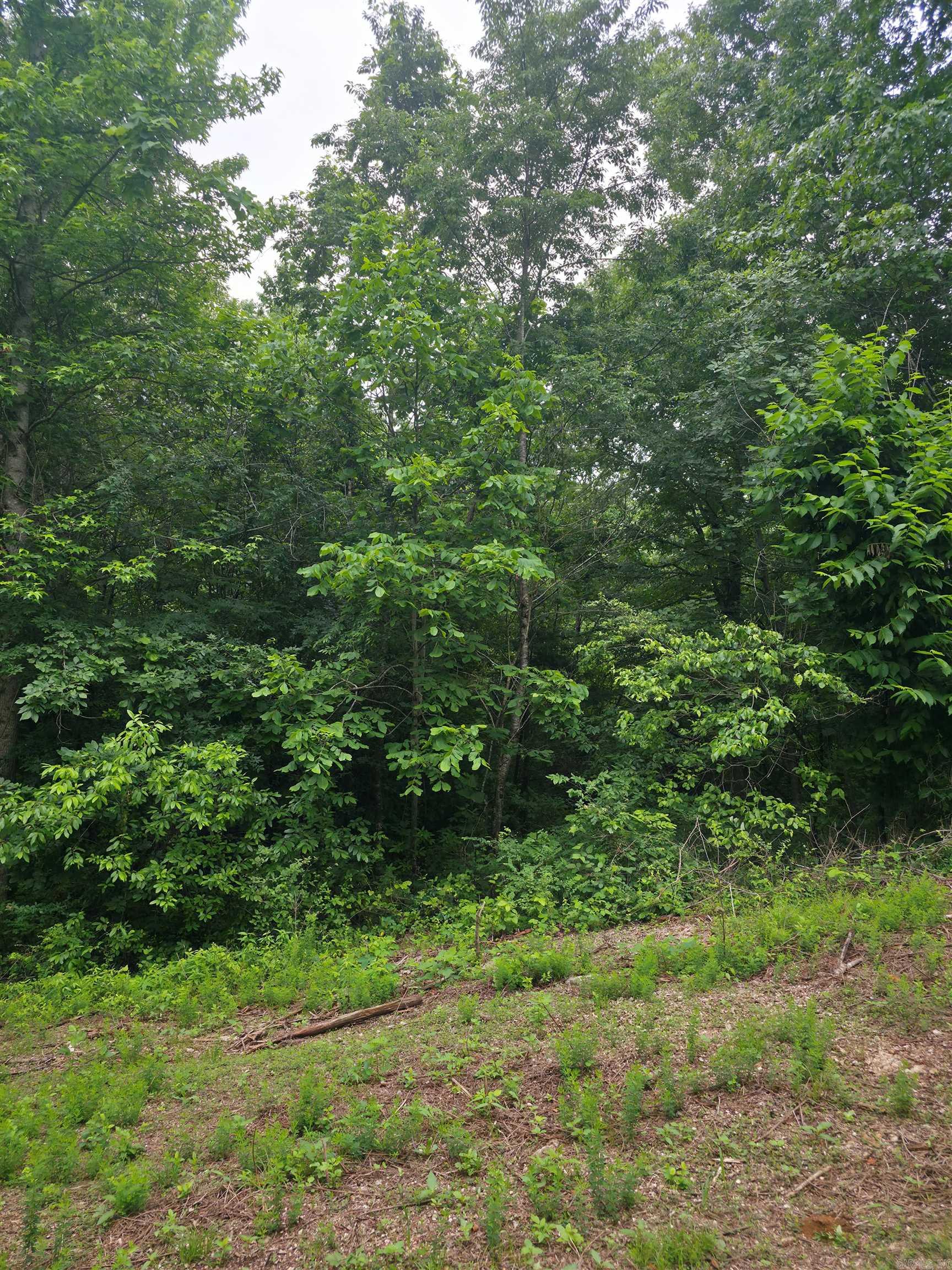 196 Lock 3 Road Property Photo 9