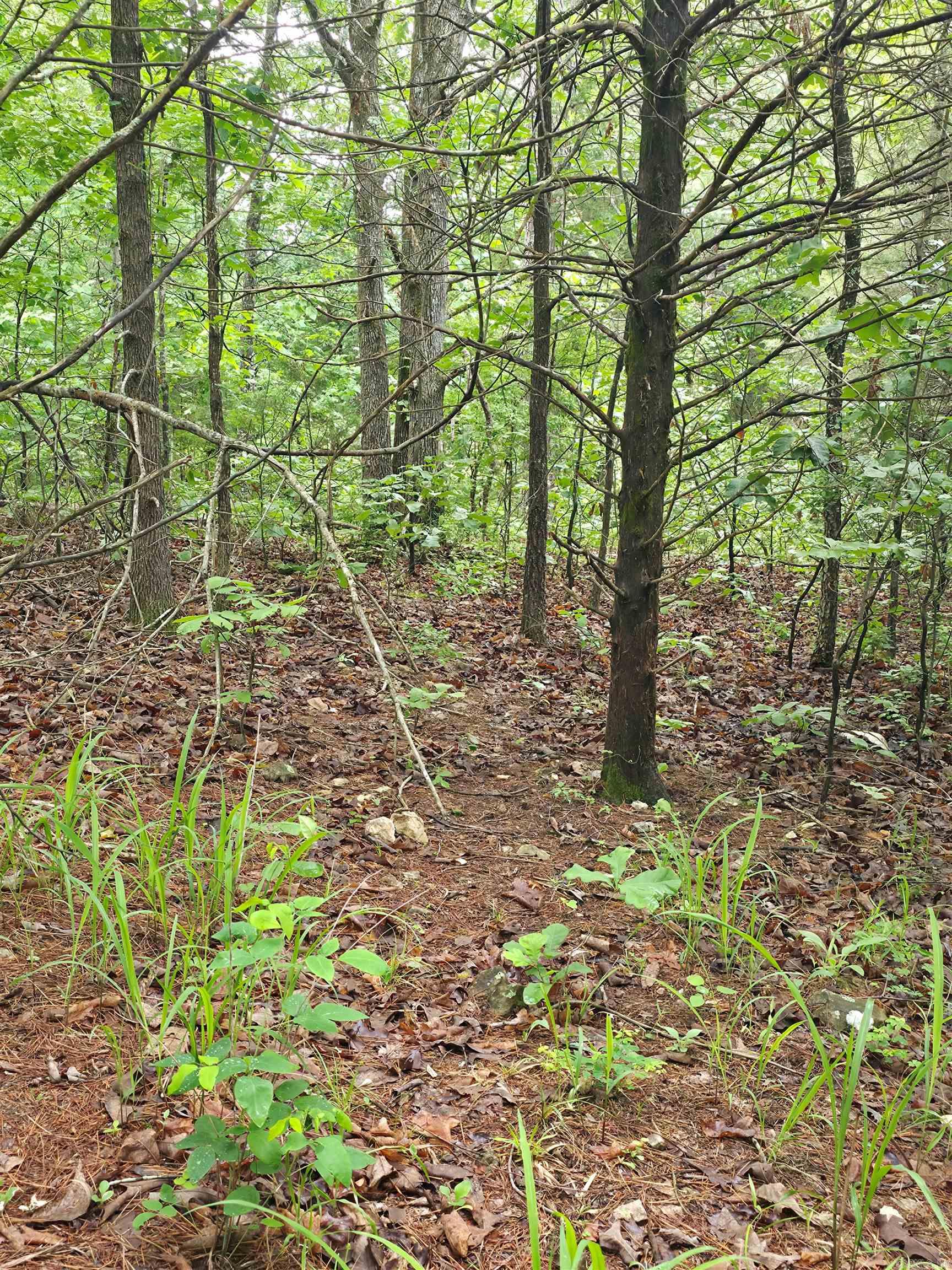 196 Lock 3 Road Property Photo 13