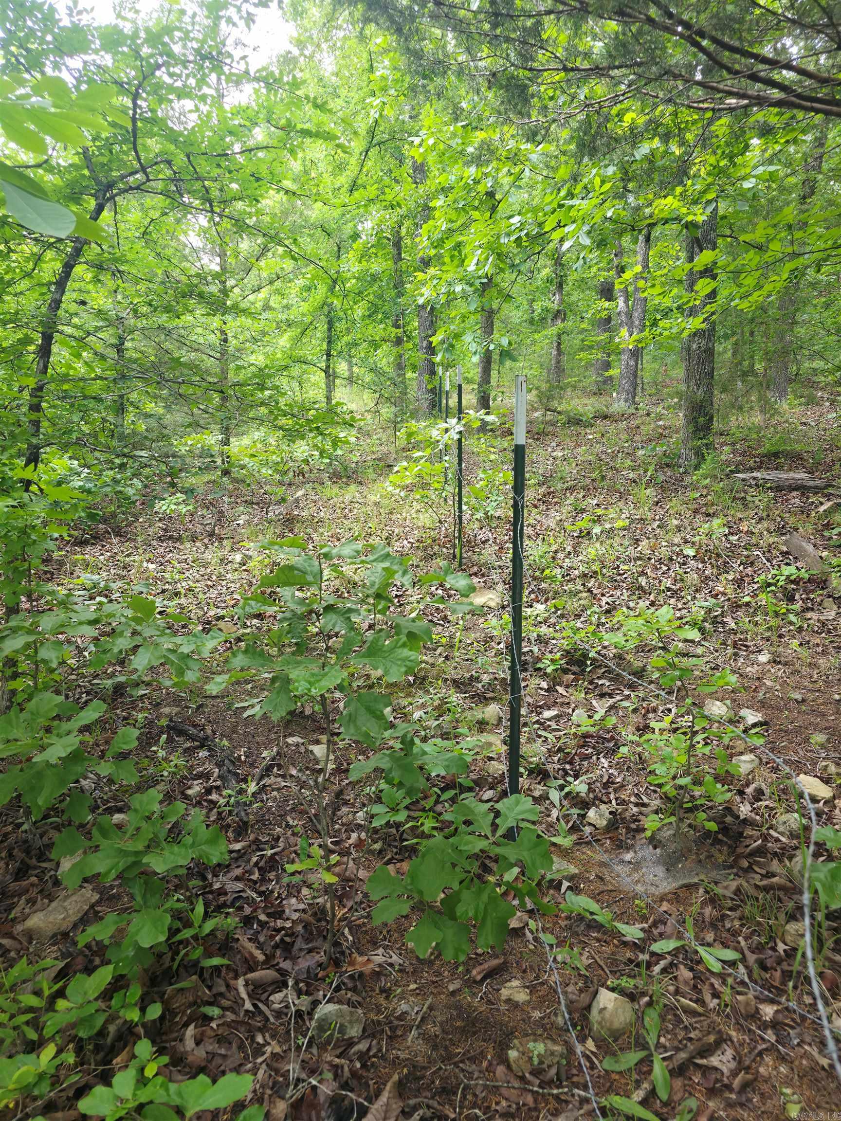196 Lock 3 Road Property Photo 14