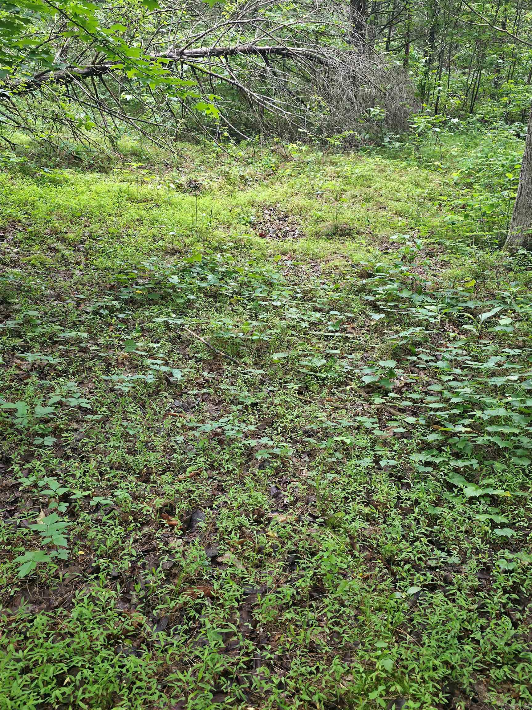196 Lock 3 Road Property Photo 19