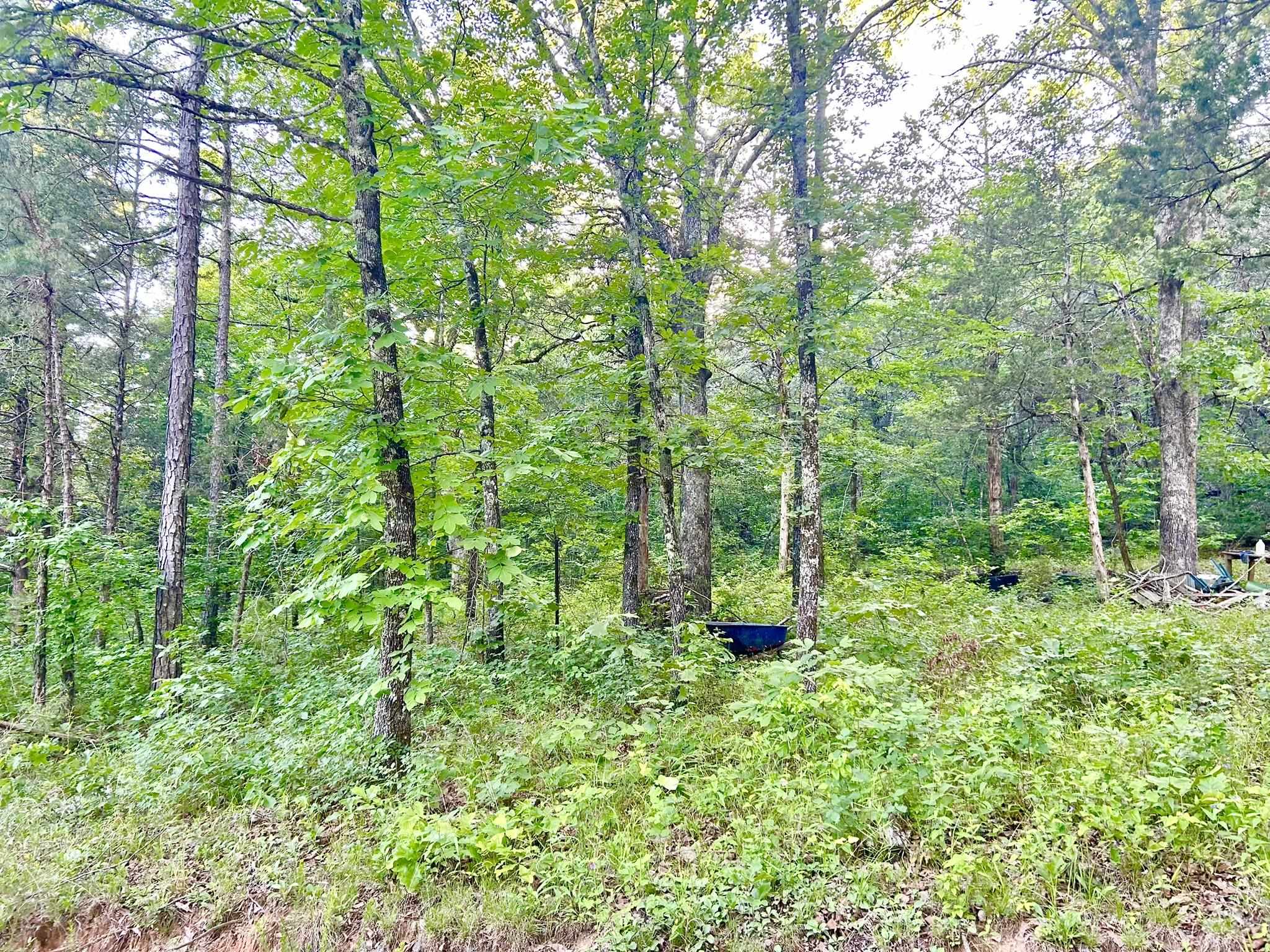 Lot 8 And 9 Ripplin Shoals Property Photo 2