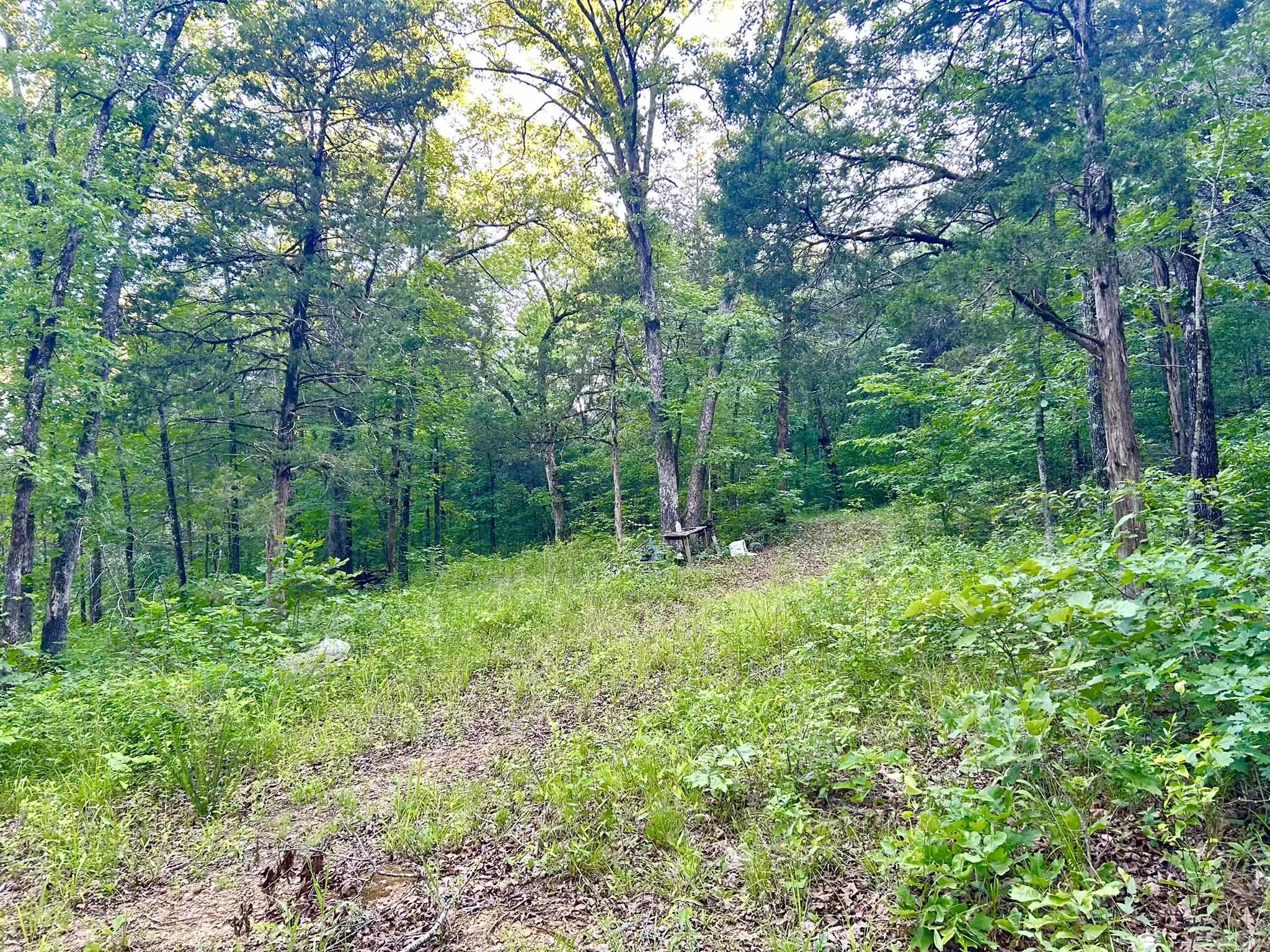Lot 8 And 9 Ripplin Shoals Property Photo 3
