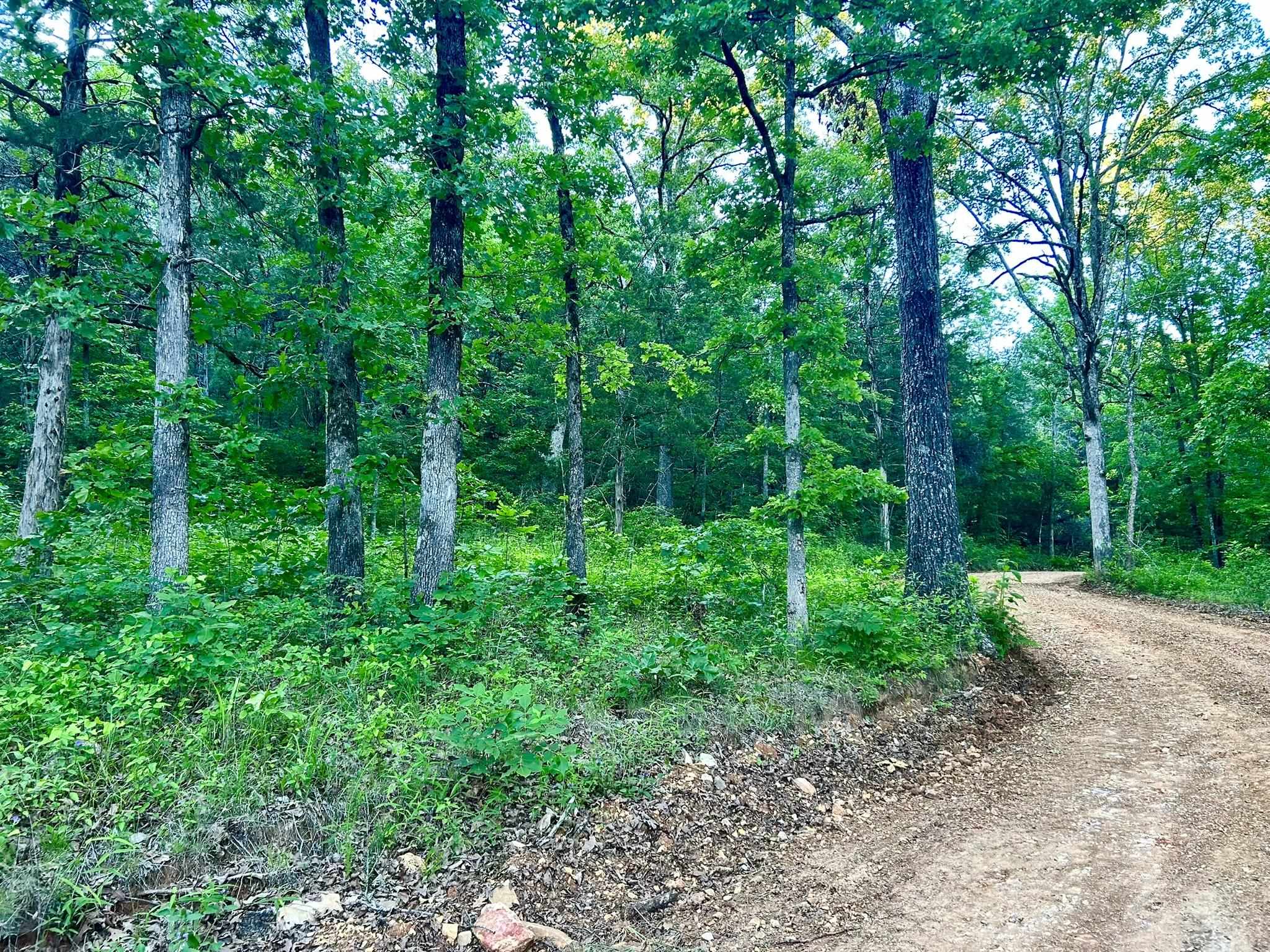 Lot 8 And 9 Ripplin Shoals Property Photo 4