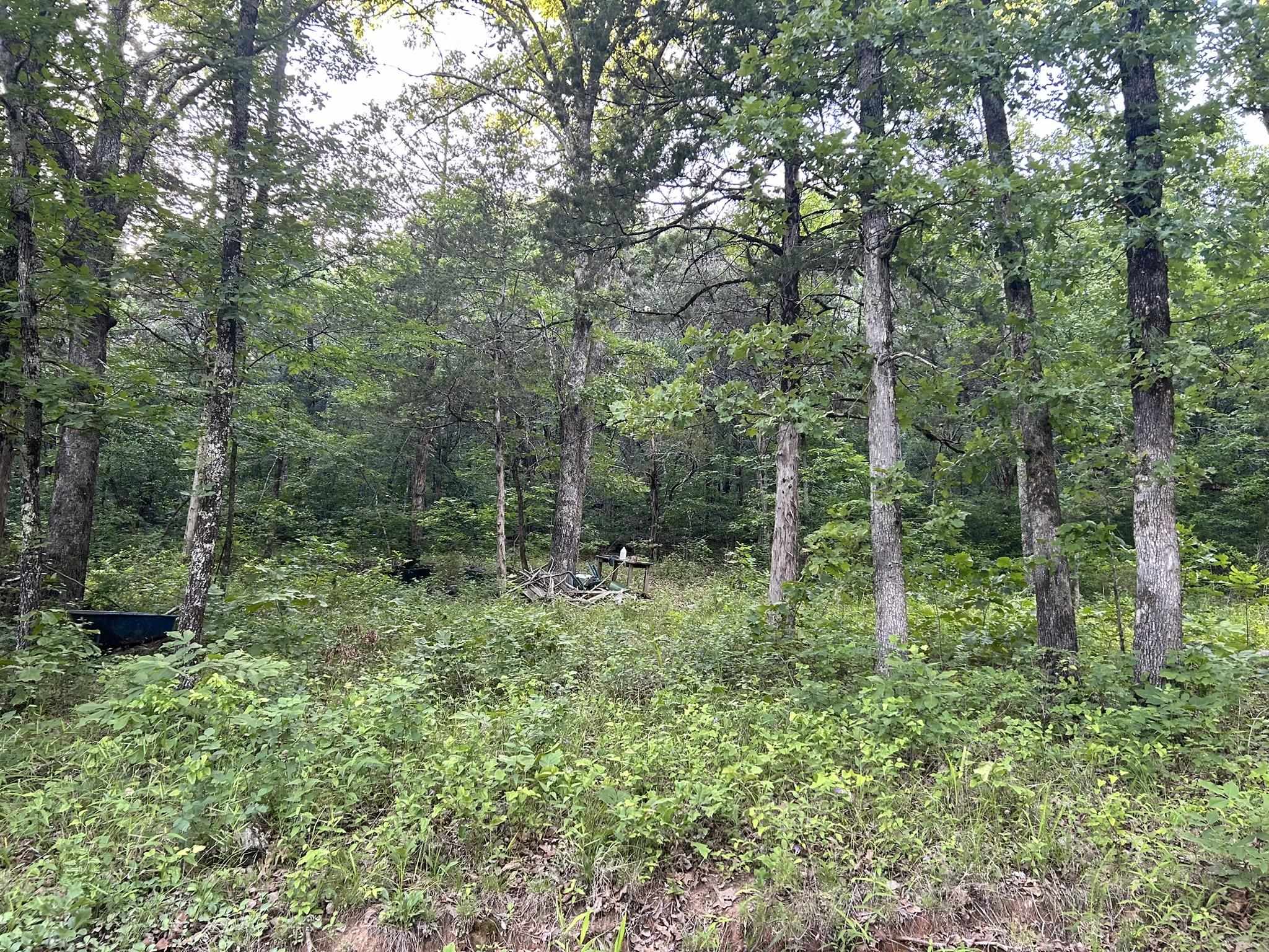 Lot 8 And 9 Ripplin Shoals Property Photo 5