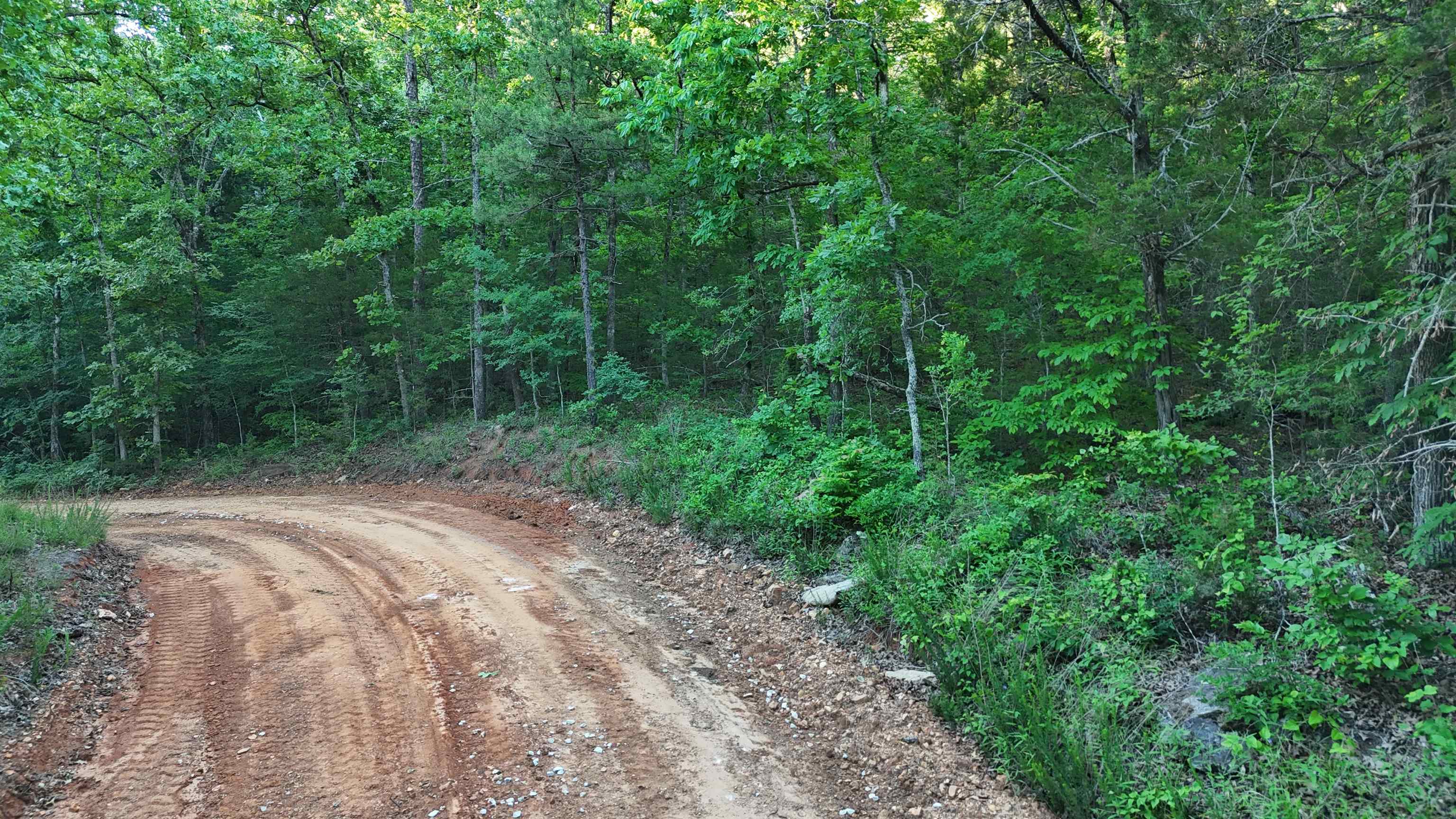 Lot 8 And 9 Ripplin Shoals Property Photo 7