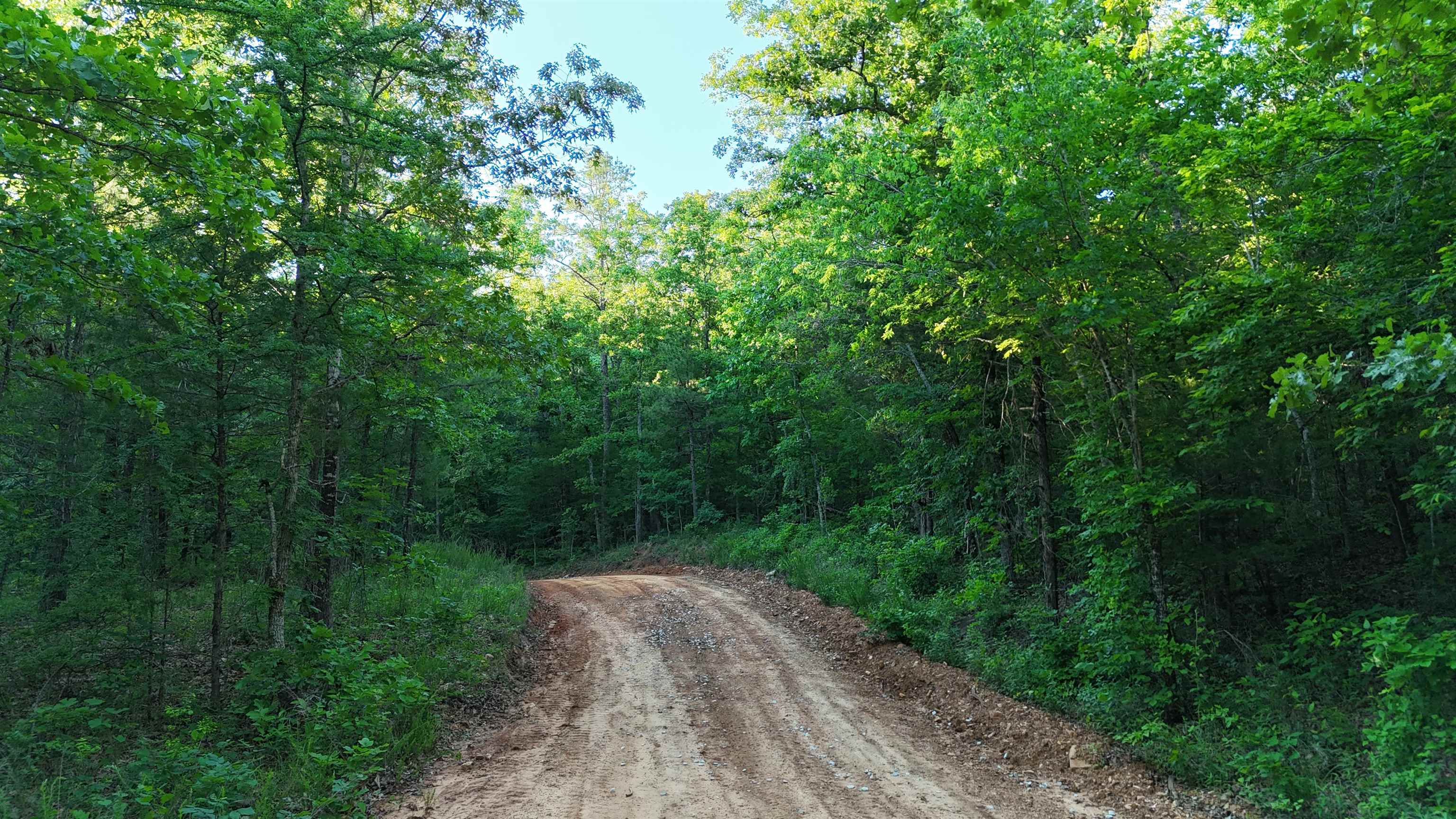 Lot 8 And 9 Ripplin Shoals Property Photo 8