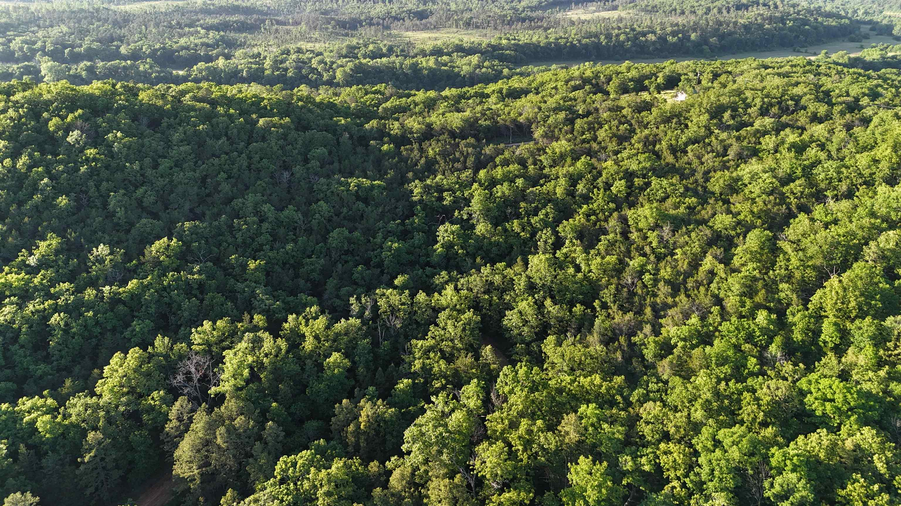 Lot 8 And 9 Ripplin Shoals Property Photo 9