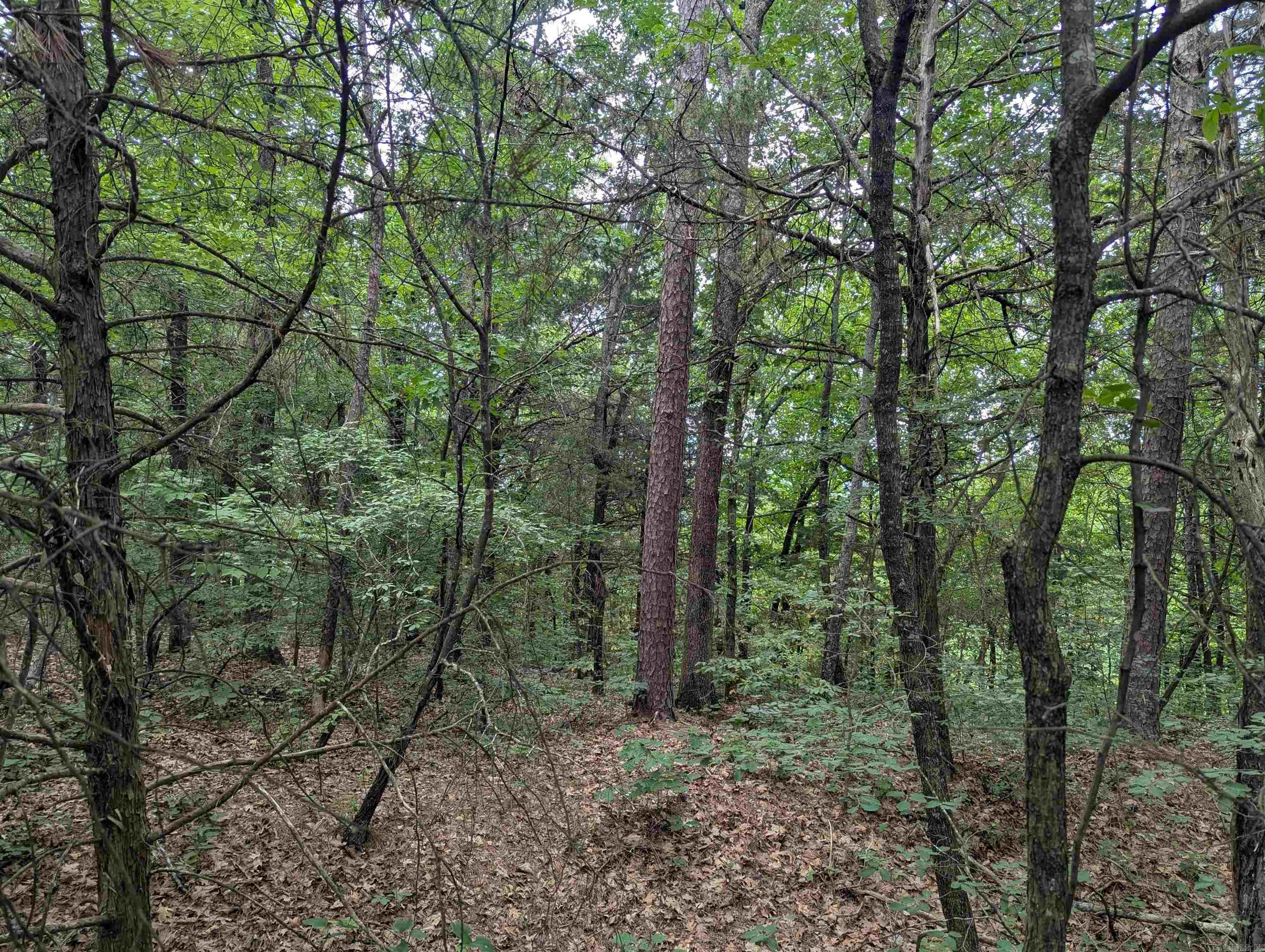 00 Pangburn Road Property Photo 3