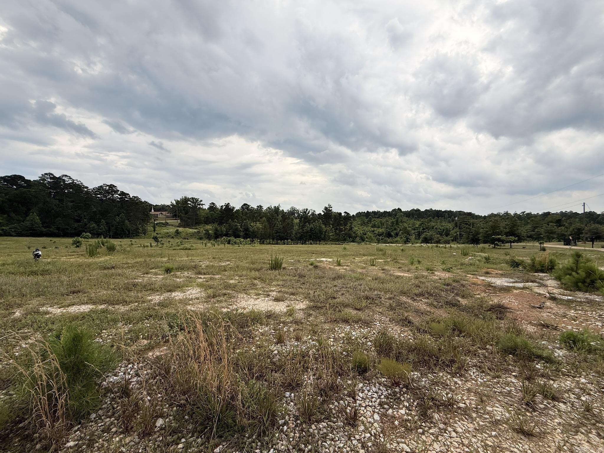 2184 Ozark Loop Property Photo 4