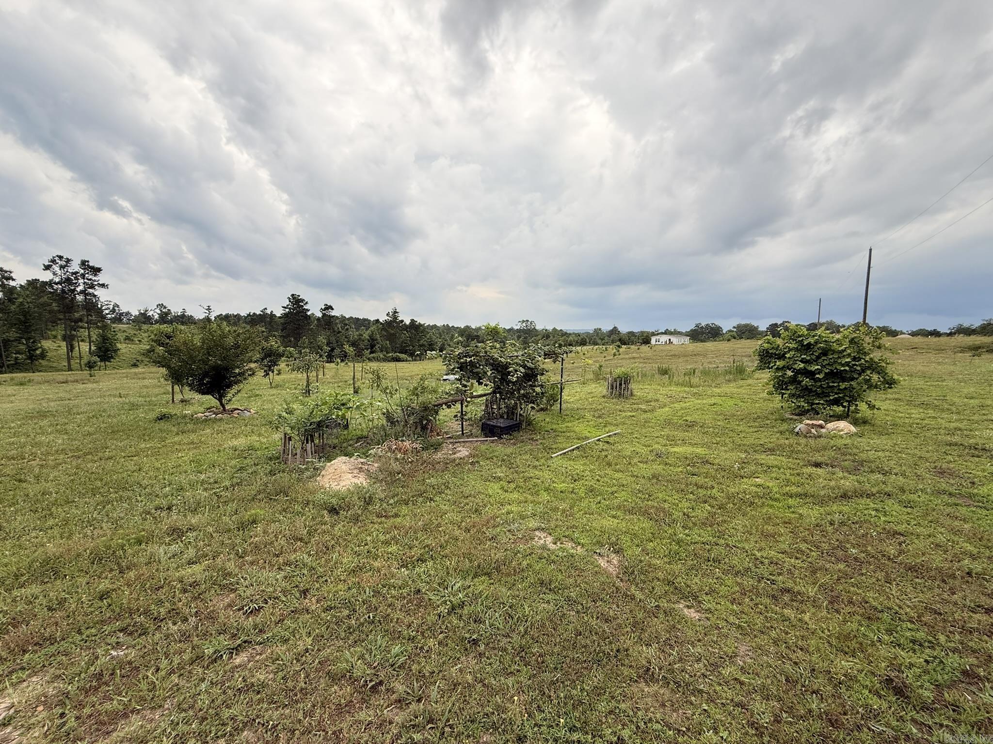 2184 Ozark Loop Property Photo 7