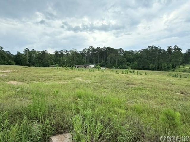 2184 Ozark Loop Property Photo 12