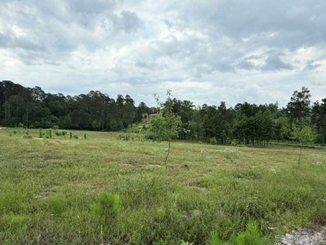 2184 Ozark Loop Property Photo 14
