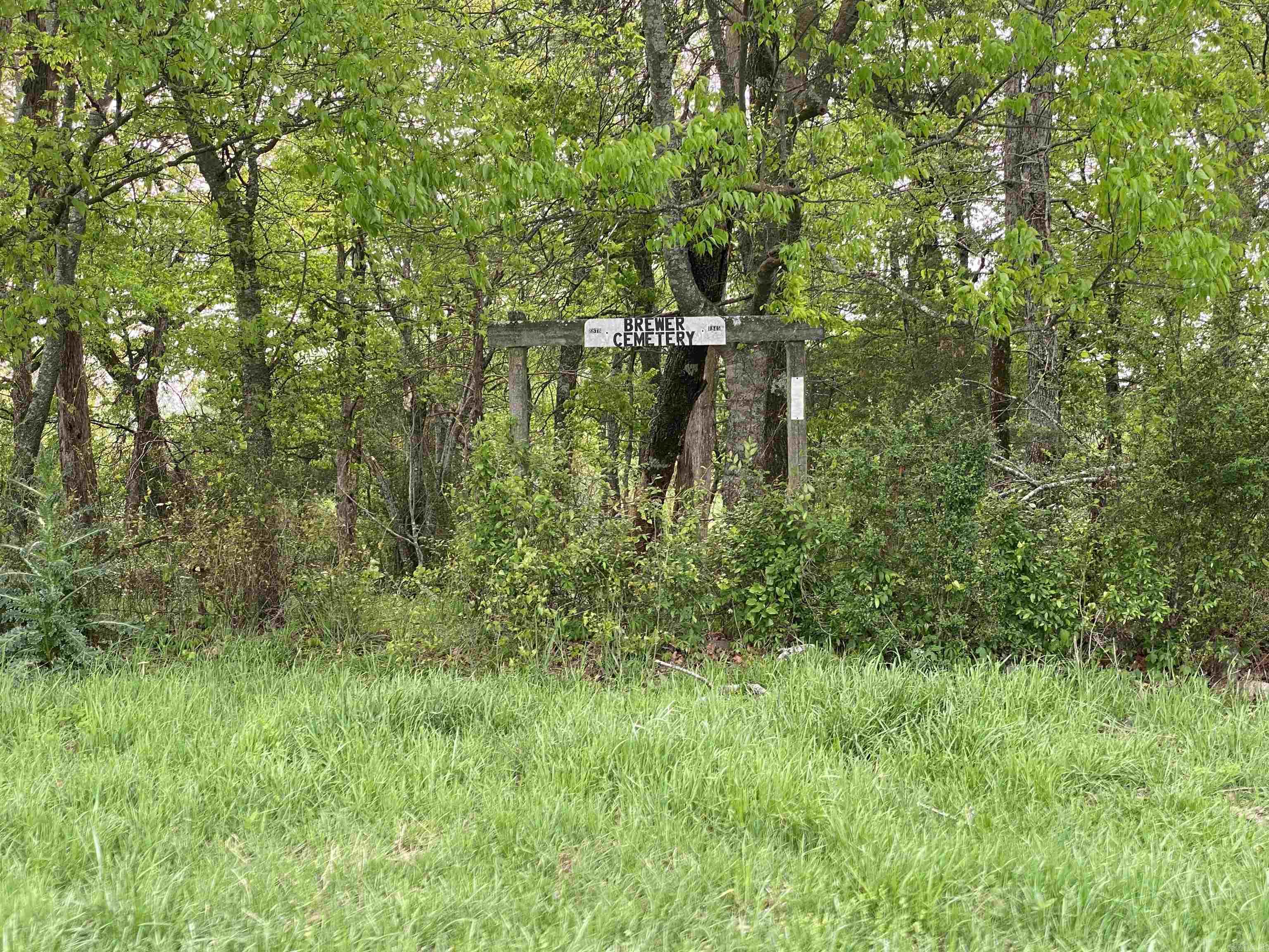 392 Serendipity Lane Property Photo 33