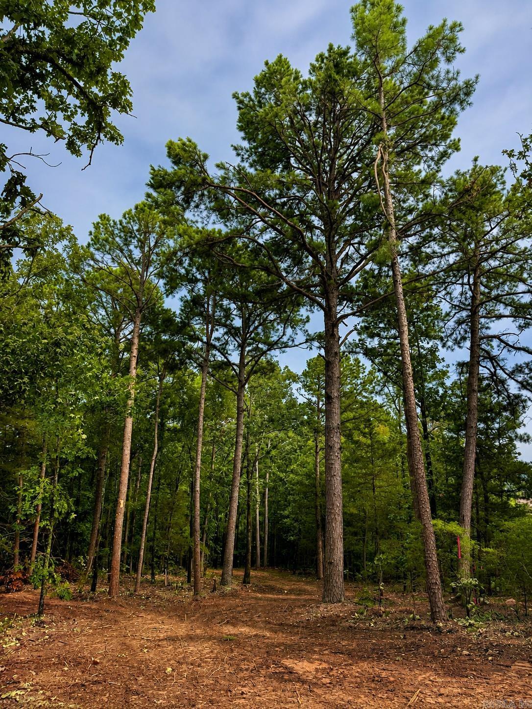 Lot 12a Edgewater Drive Property Photo 10