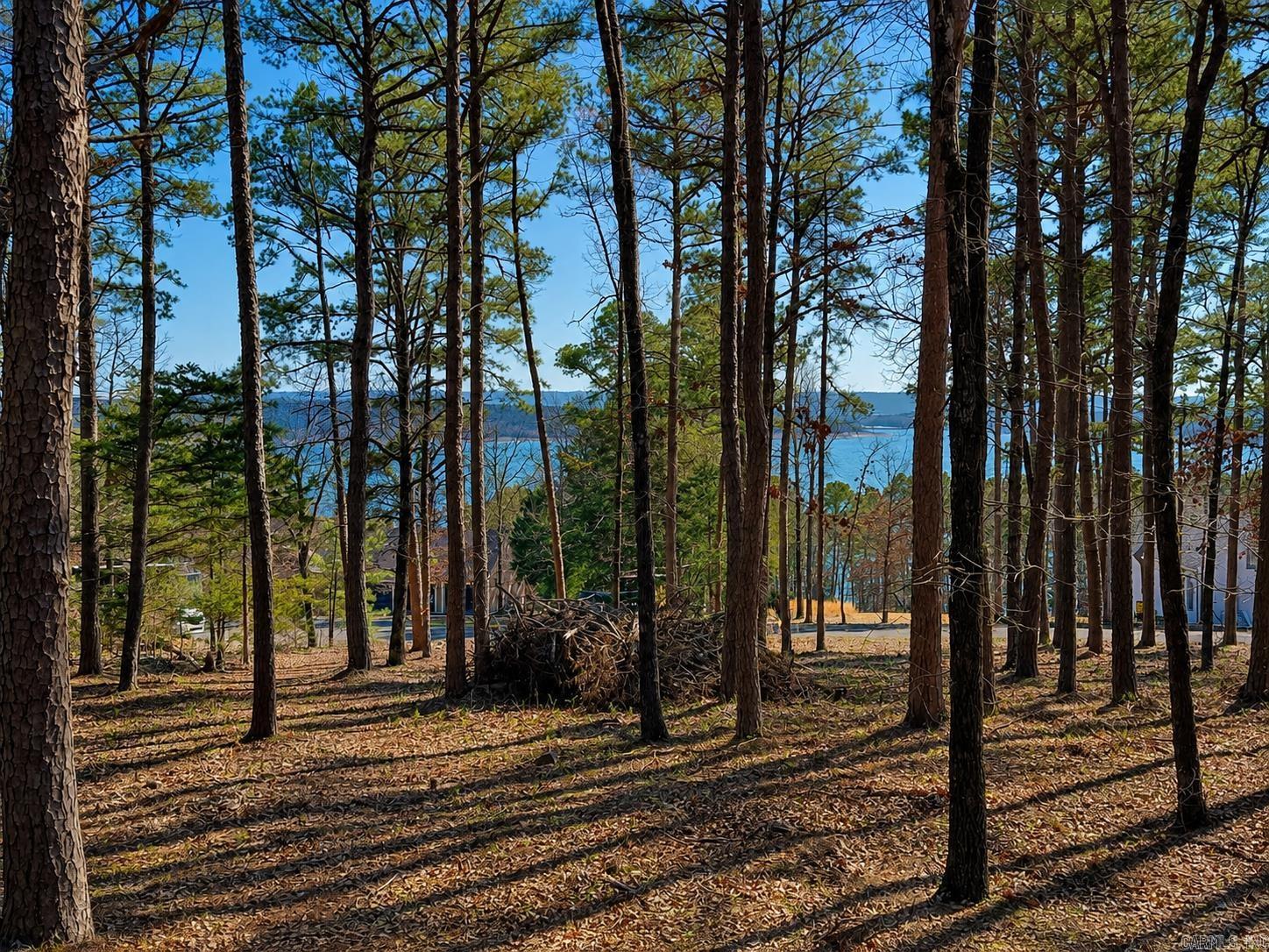 Lot 12a Edgewater Drive Property Photo 11