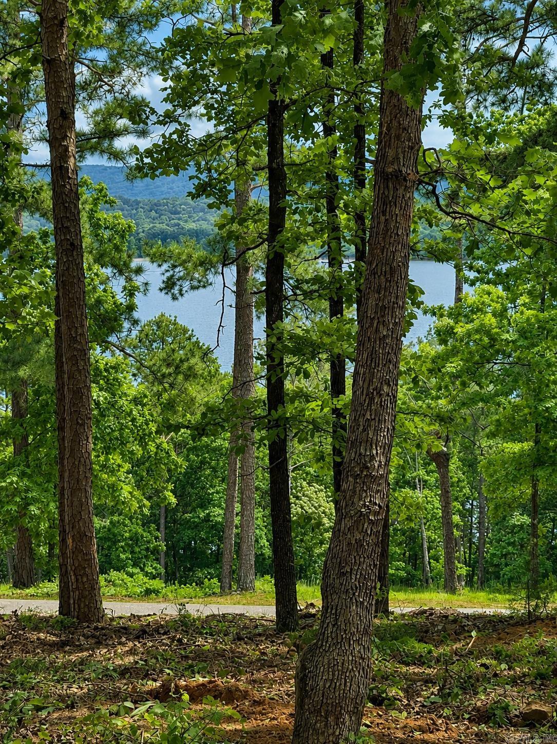 Lot 12a Edgewater Drive Property Photo 14
