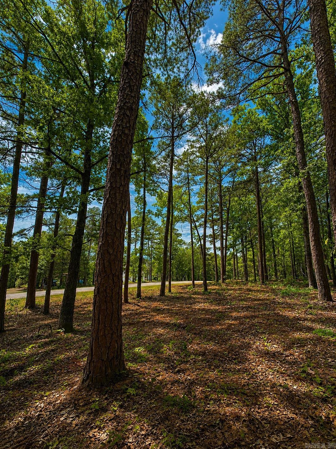 Lot 12a Edgewater Drive Property Photo 15