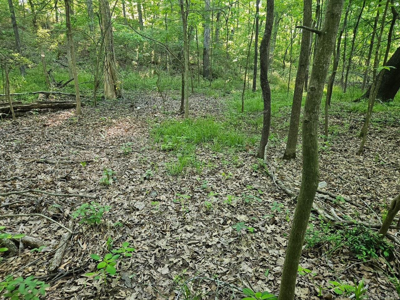 00 Hwy 89 Property Photo 6