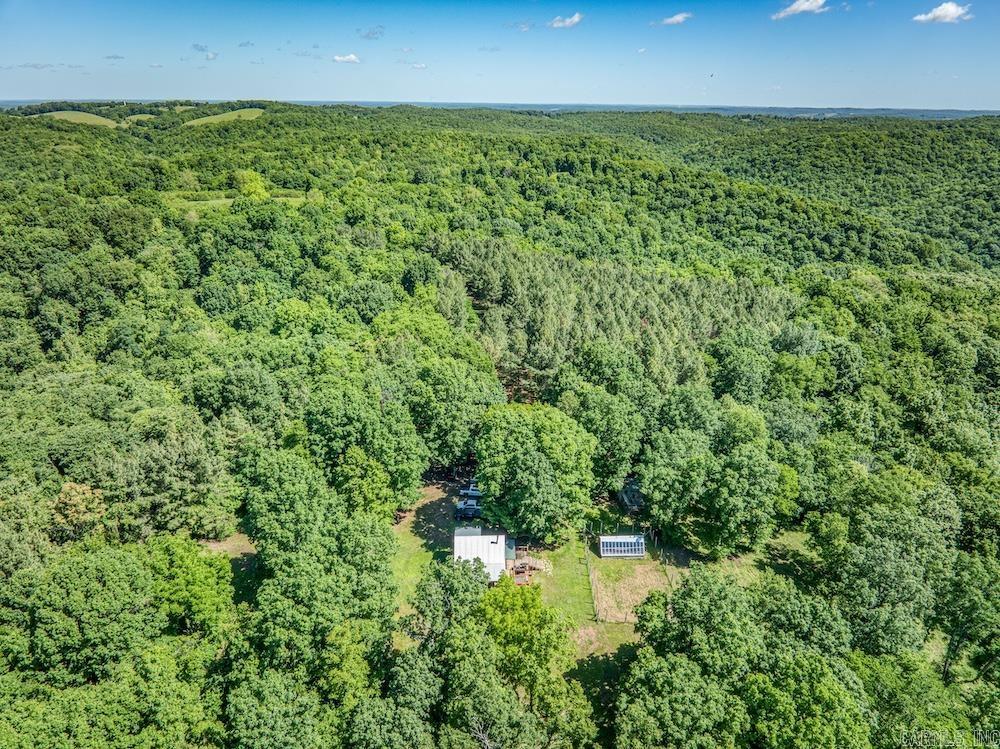 2061 Mcknight Road Property Photo 8