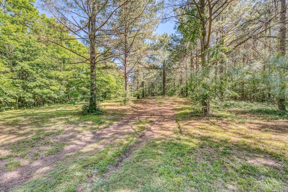 2061 Mcknight Road Property Photo 45