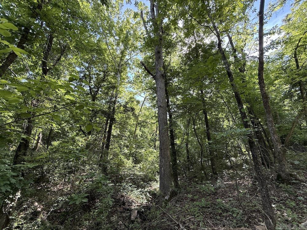Cr 6011 Property Photo 2