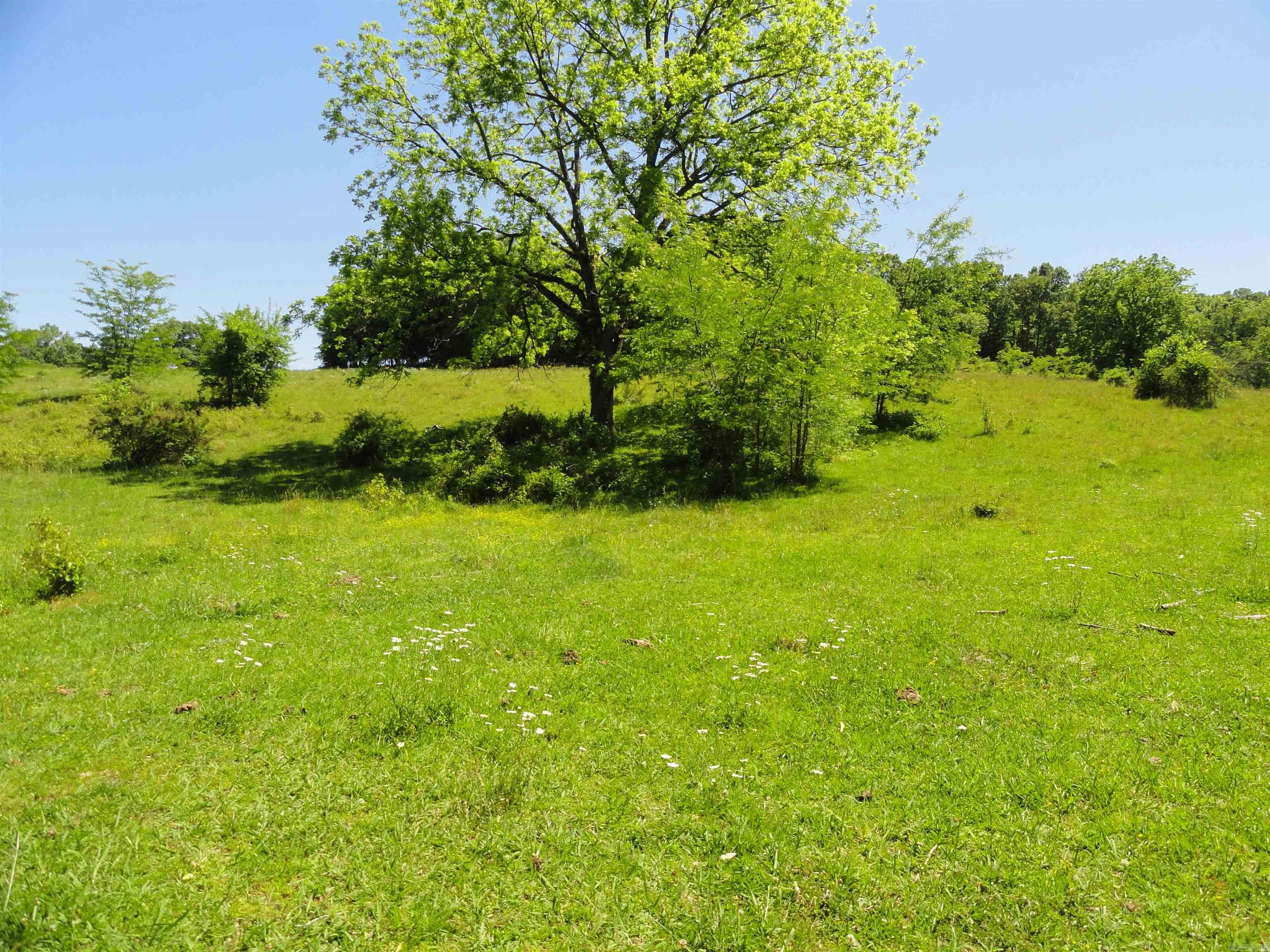 967 E Hwy 333 Property Photo 3