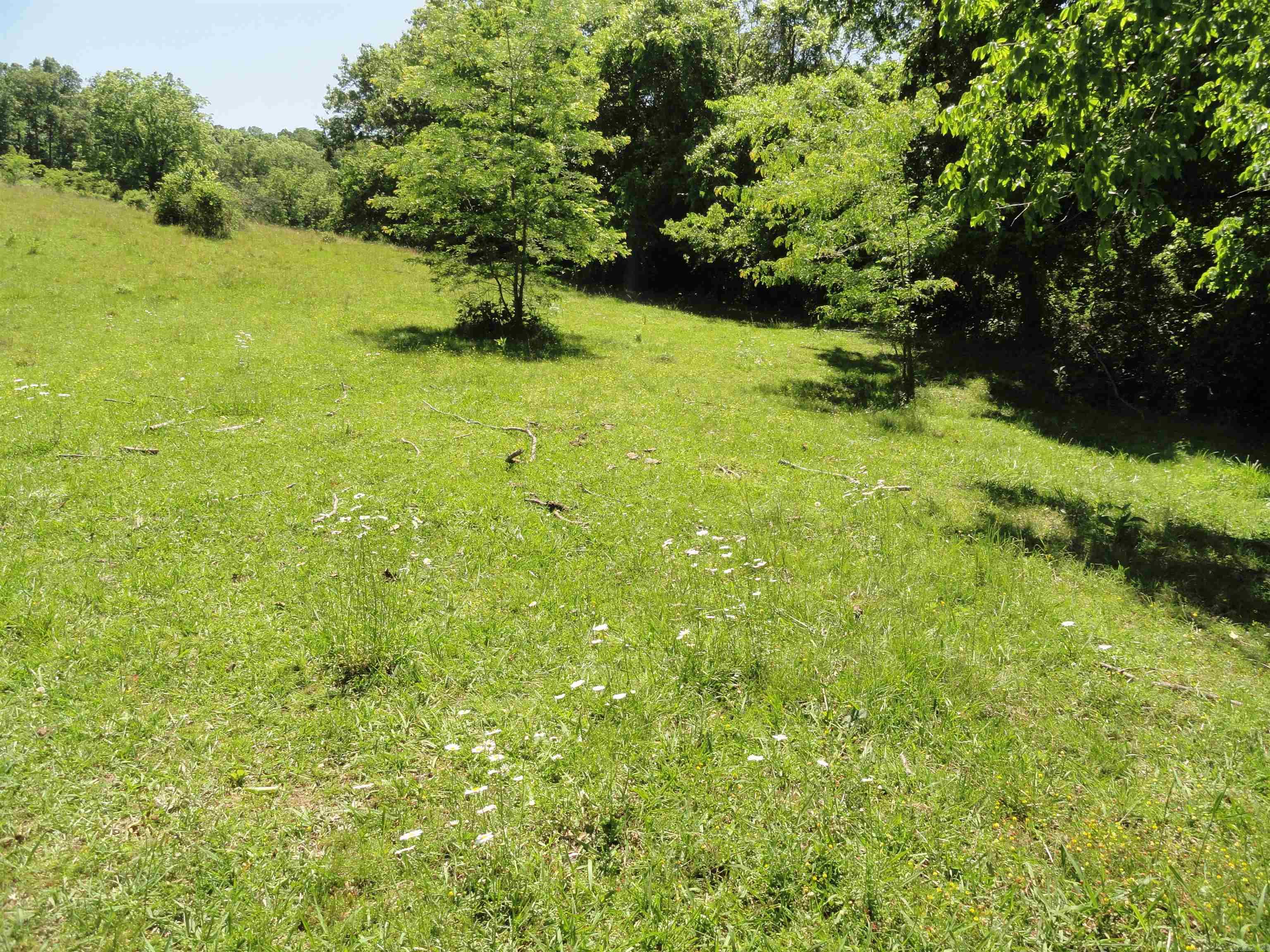 967 E Hwy 333 Property Photo 4