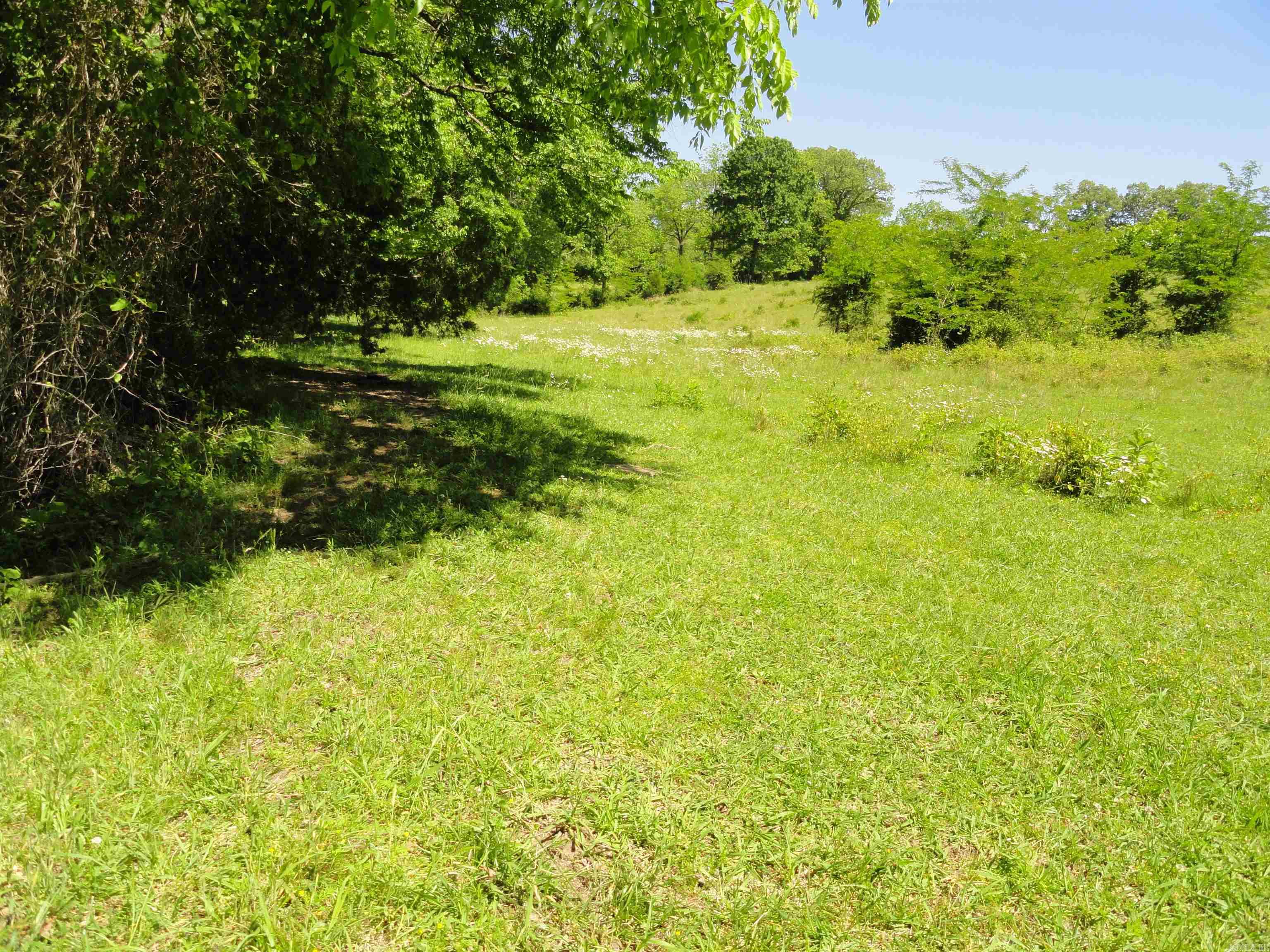 967 E Hwy 333 Property Photo 5