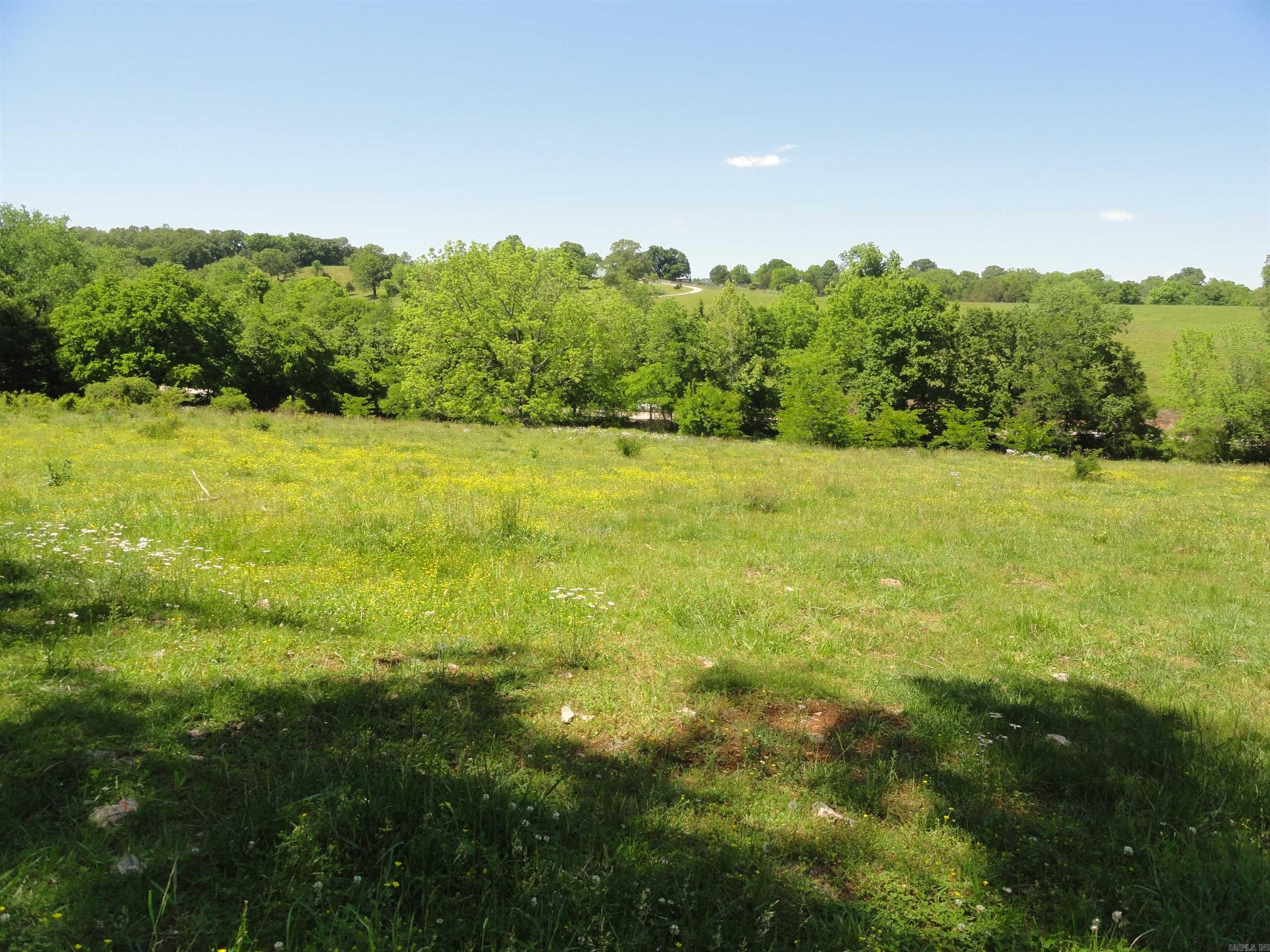 967 E Hwy 333 Property Photo 6