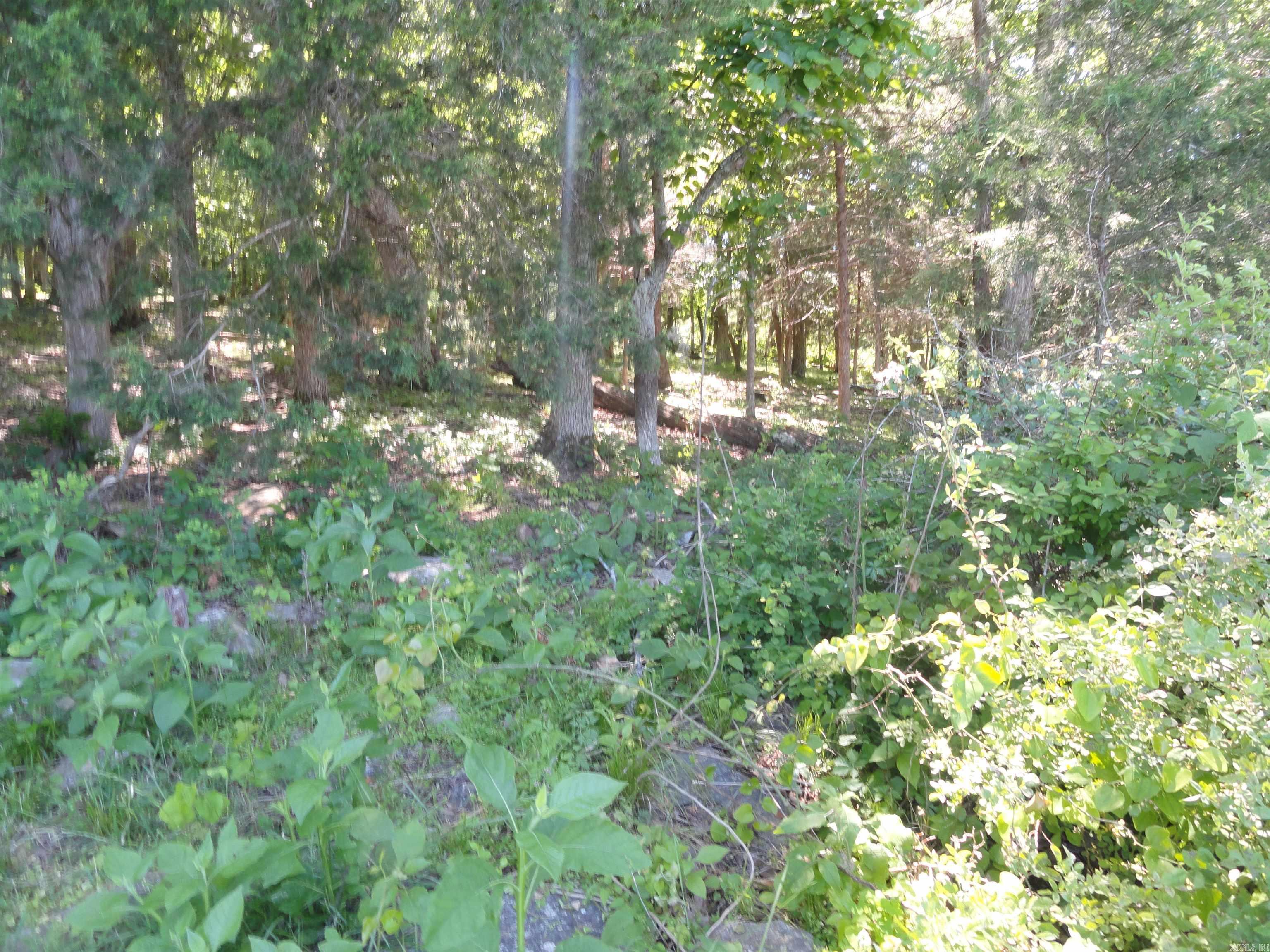 967 E Hwy 333 Property Photo 7