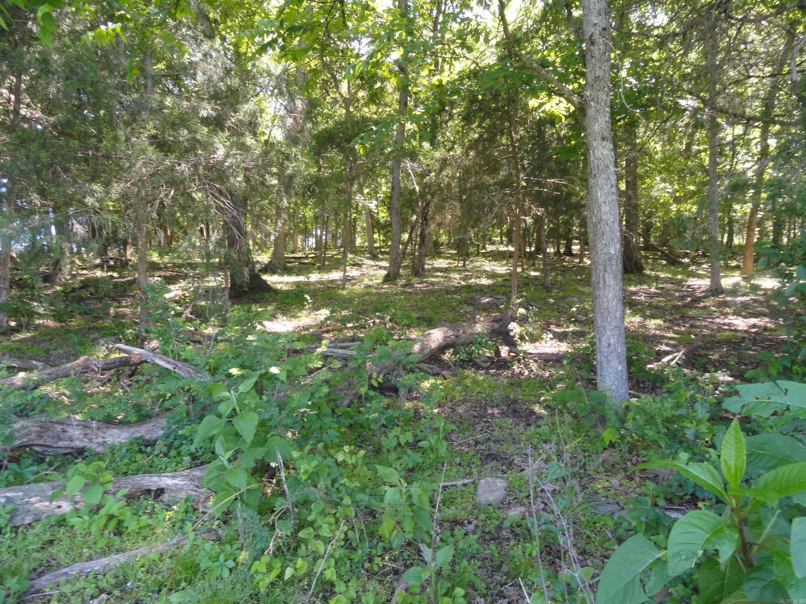 967 E Hwy 333 Property Photo 8