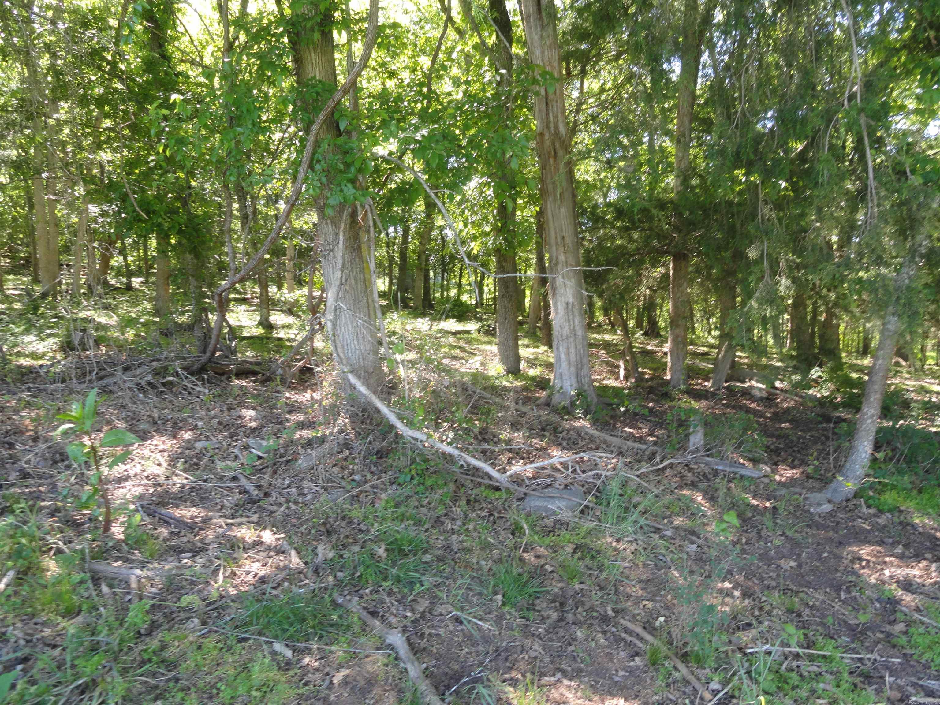 967 E Hwy 333 Property Photo 9