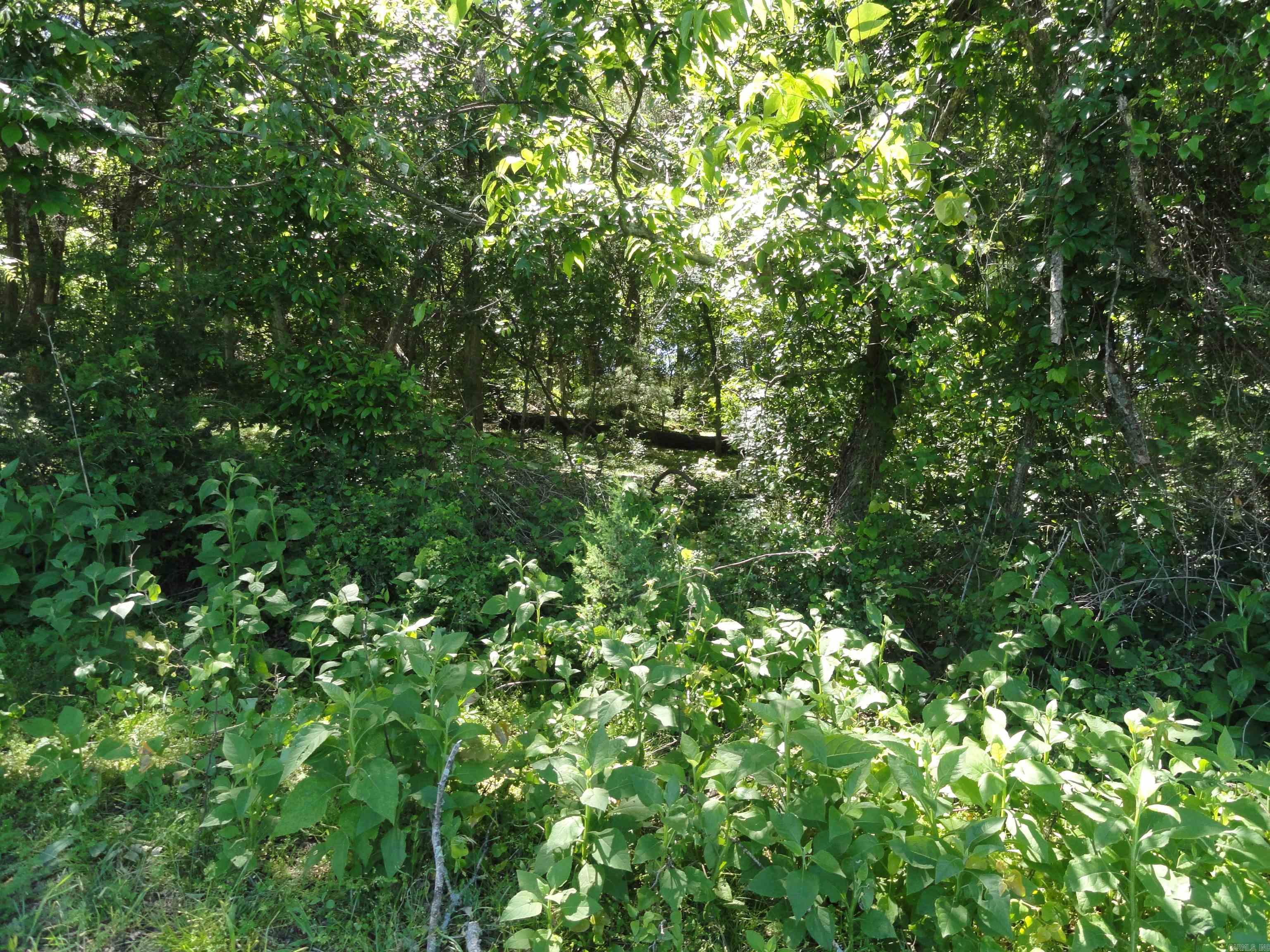 967 E Hwy 333 Property Photo 10