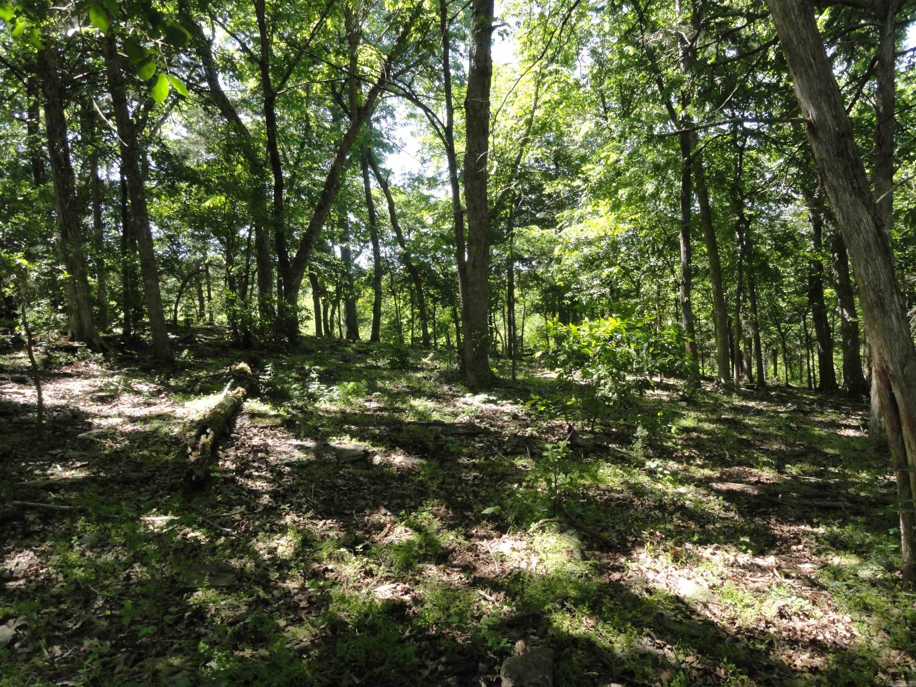 967 E Hwy 333 Property Photo 11