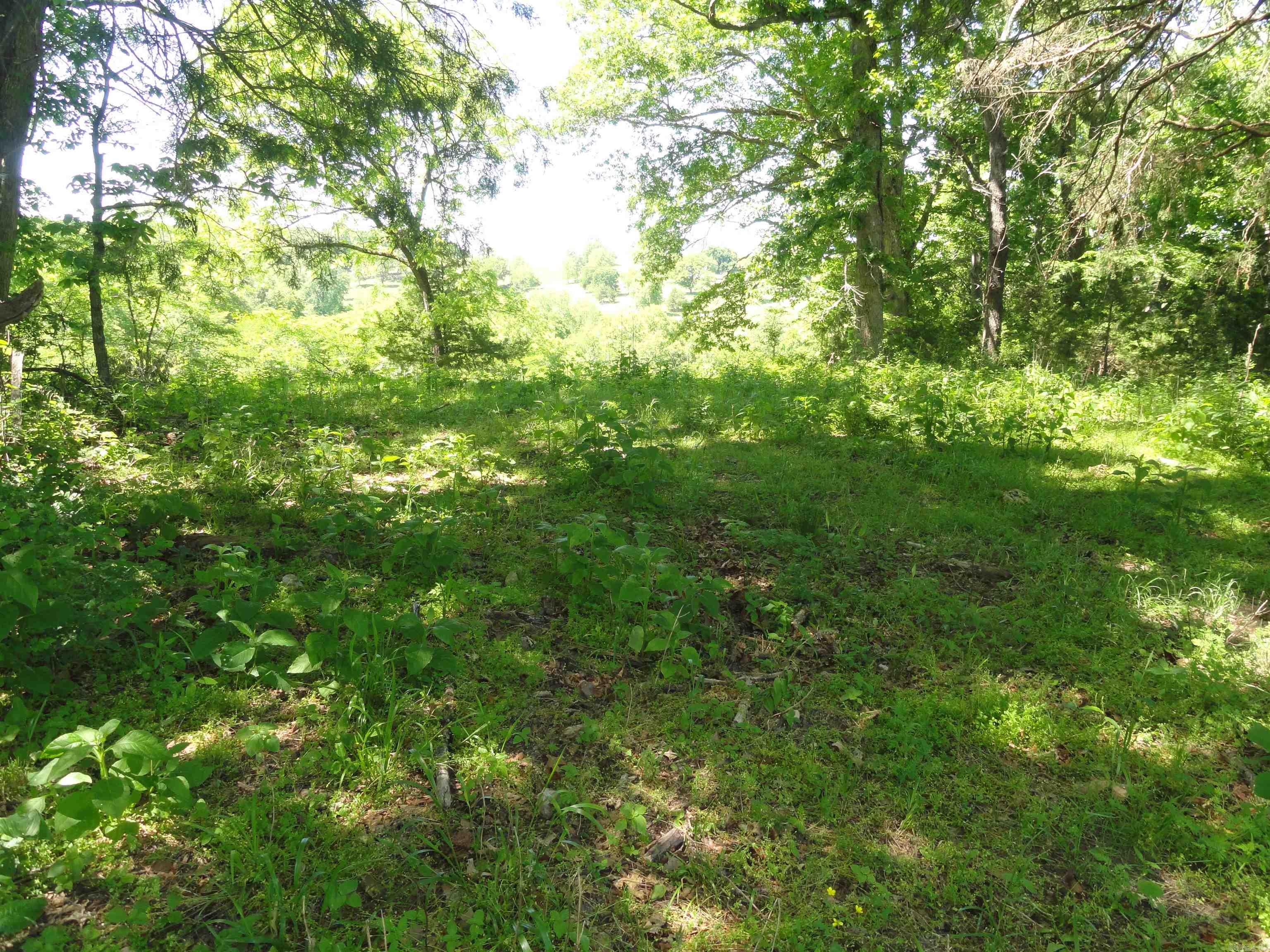 967 E Hwy 333 Property Photo 13