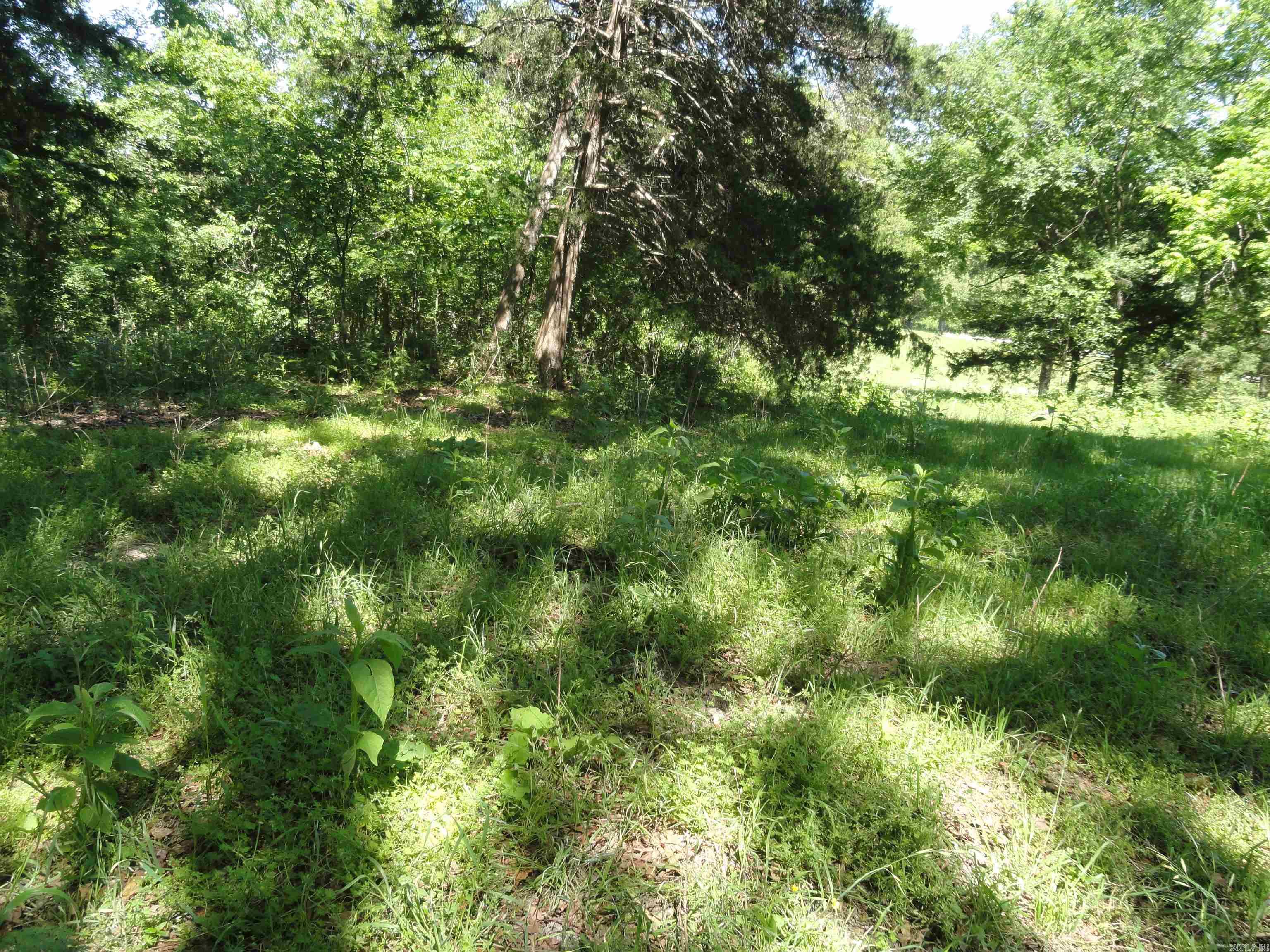 967 E Hwy 333 Property Photo 14