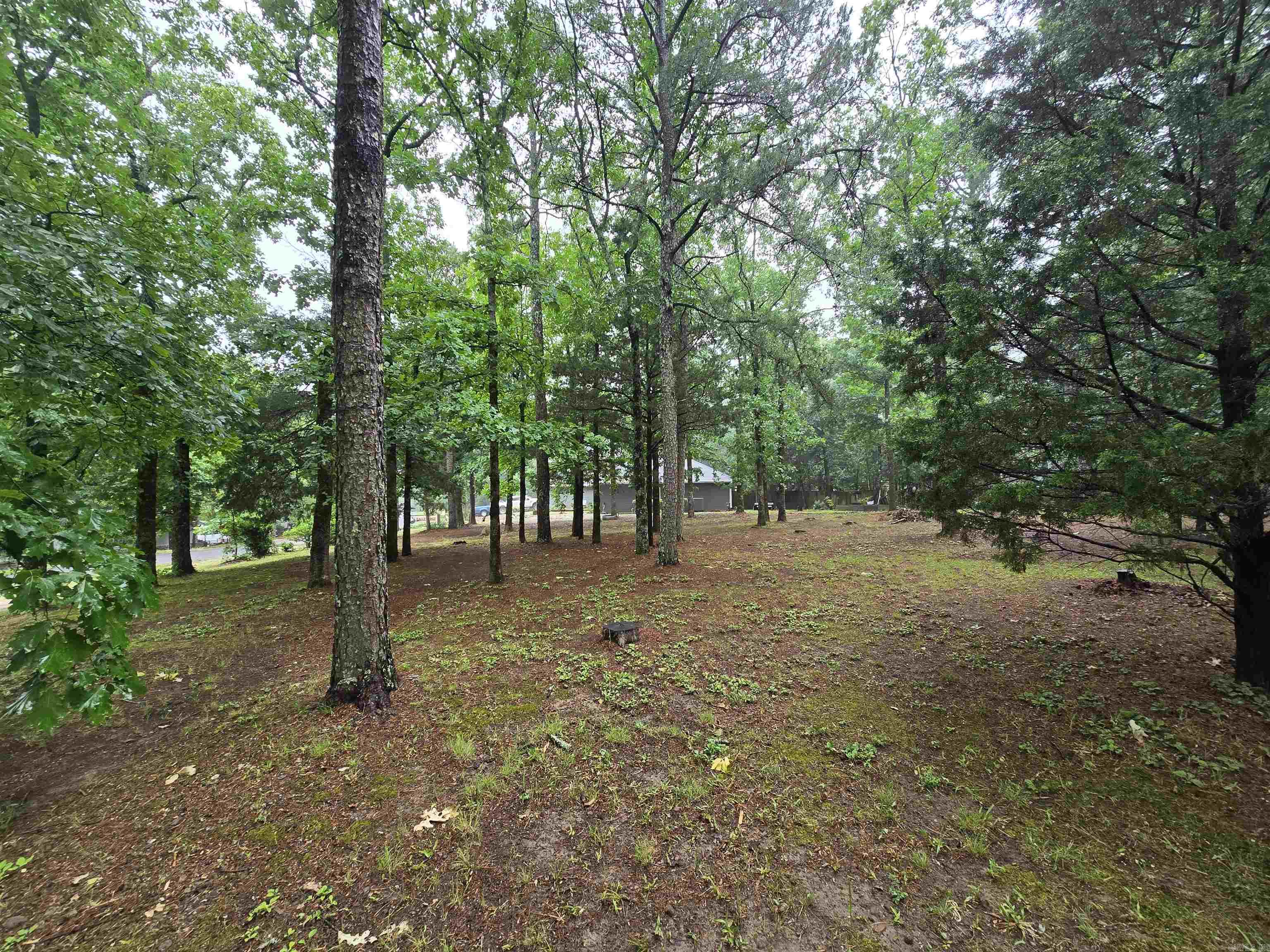 102 Eagle Ridge Property Photo 11