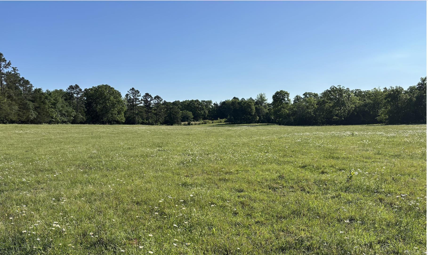 15 Acres Liberty Road Property Photo 4
