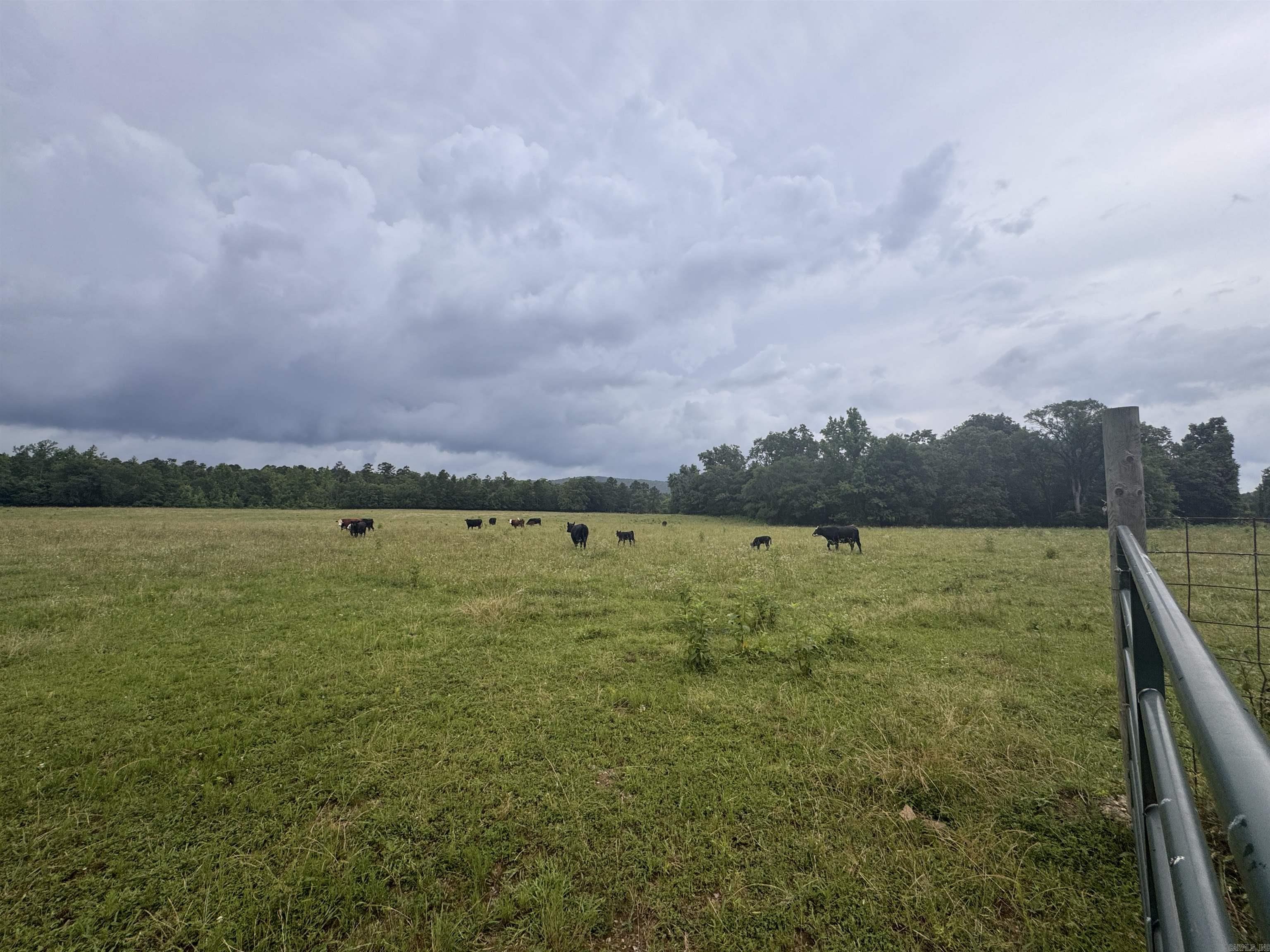15 Acres Liberty Road Property Photo 8