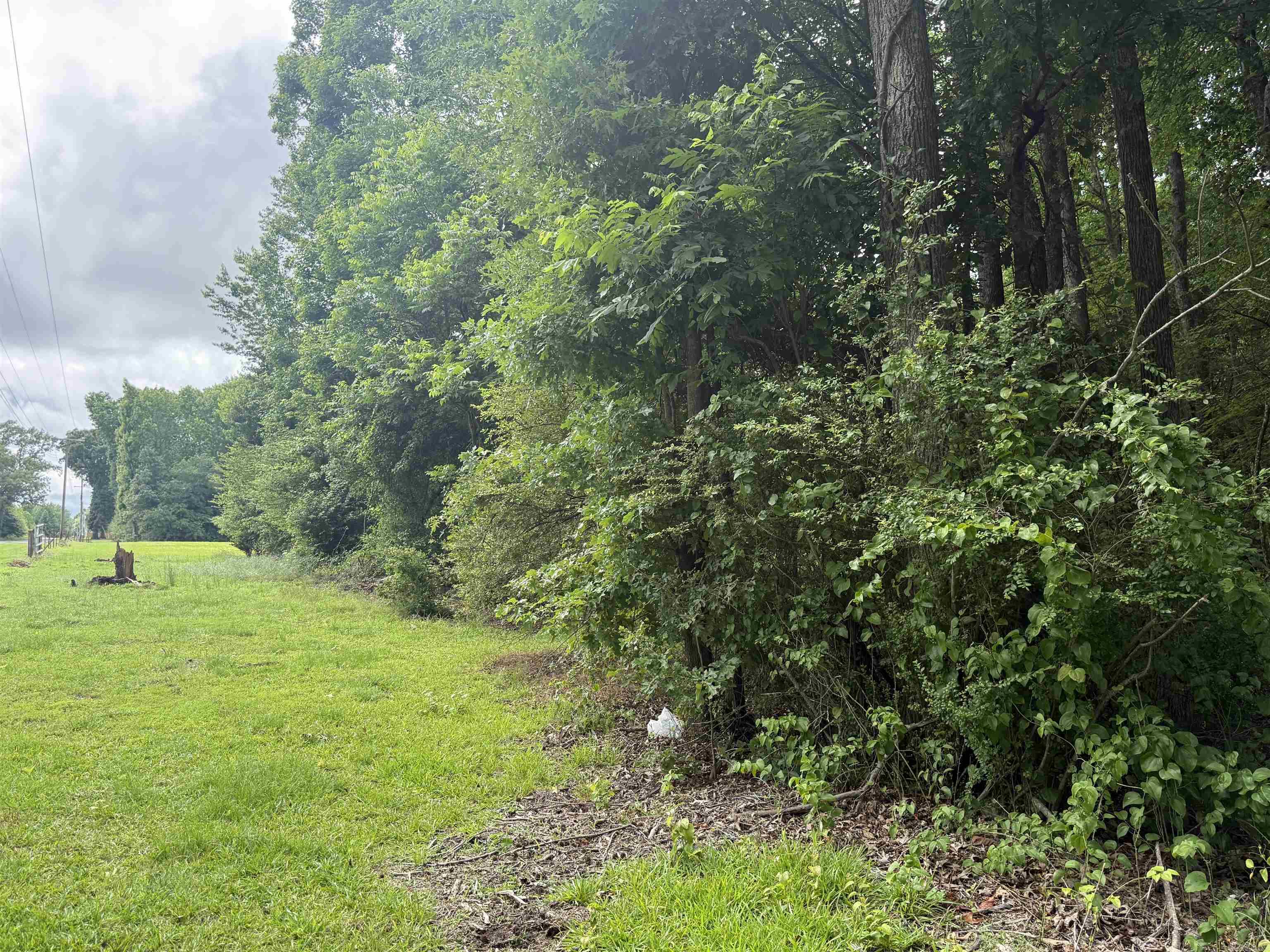000 Woodlawn Road Property Photo 3